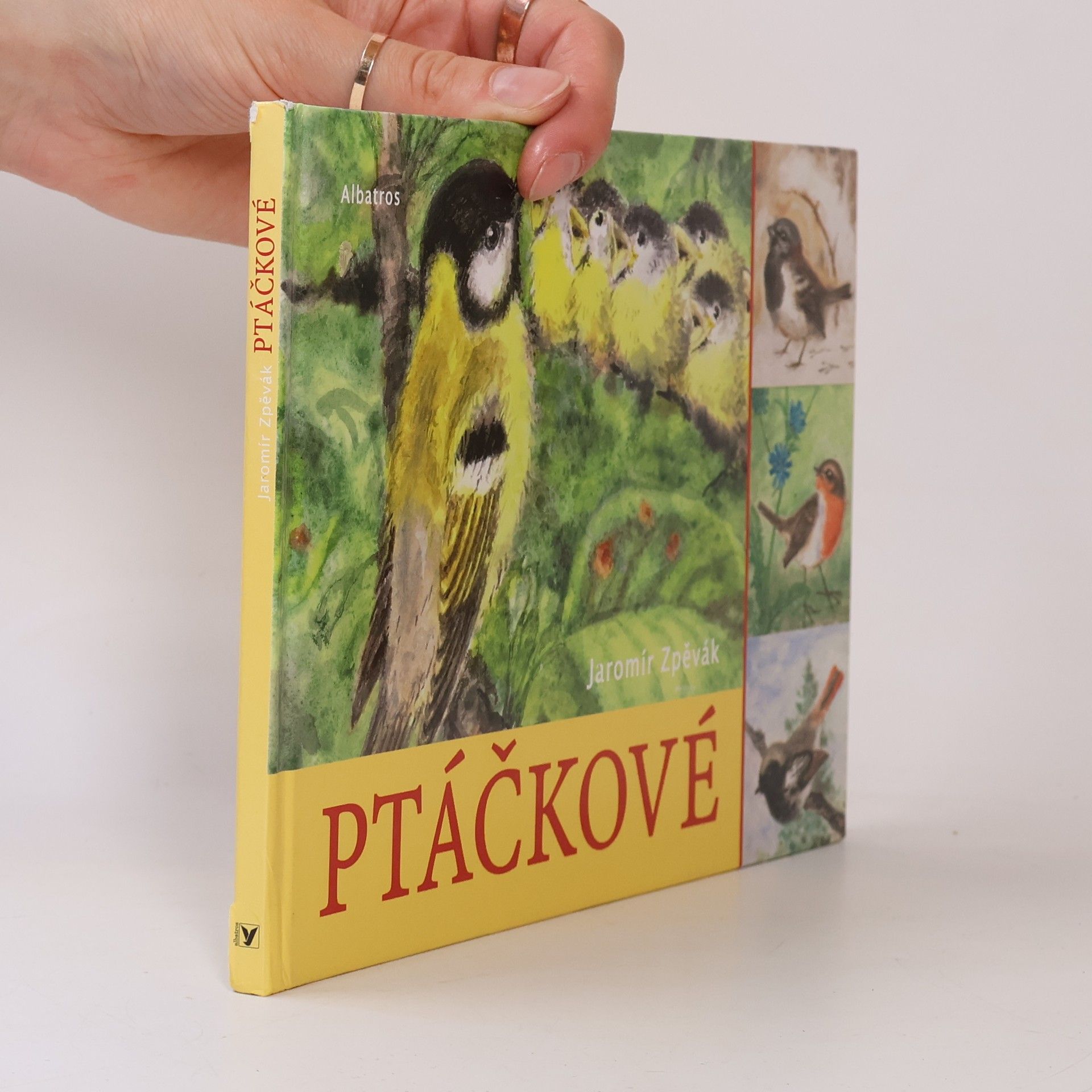 Jaromír Zpěvák Ptáčkové