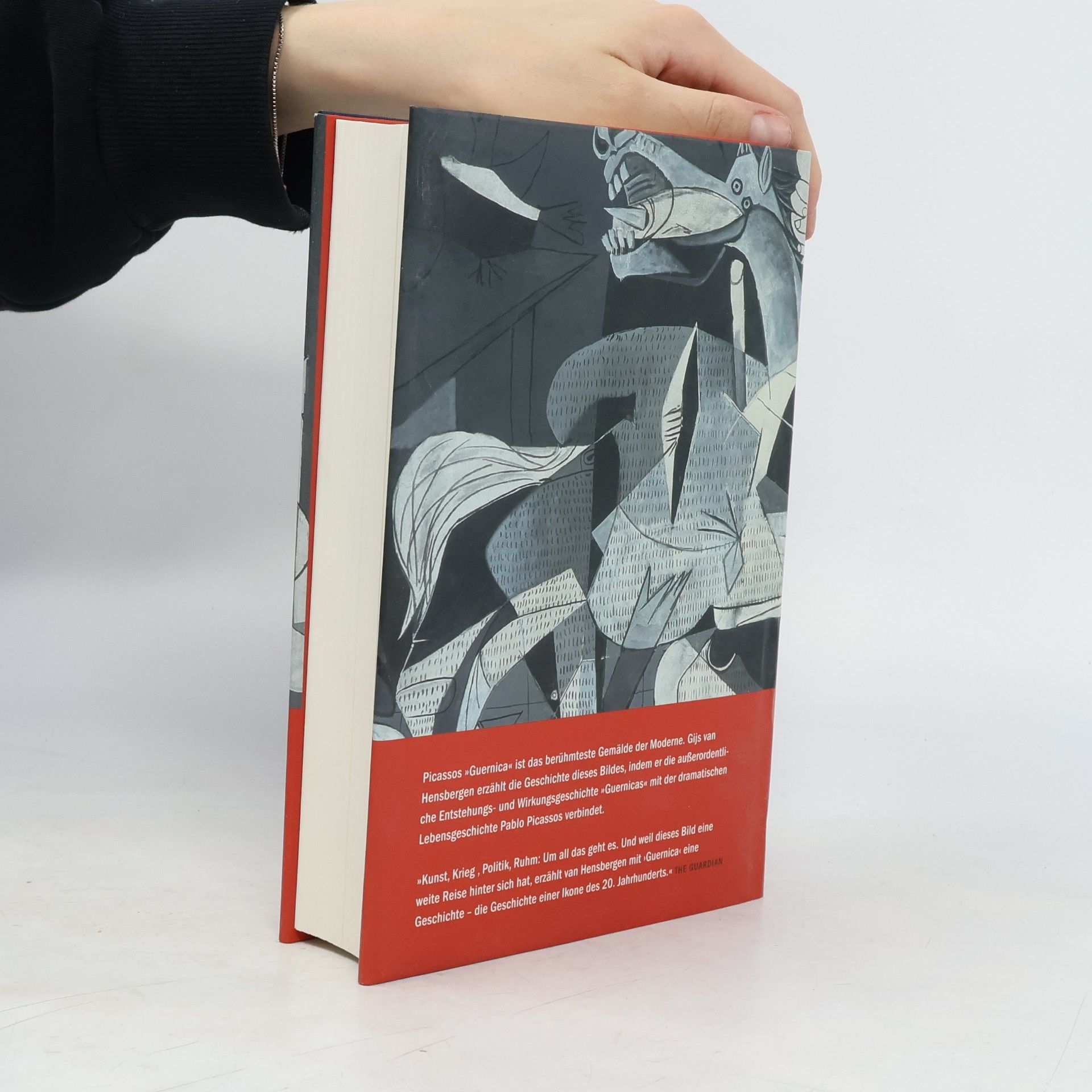 Gijs van Hensbergen Guernica: Biographie eines Bildes.