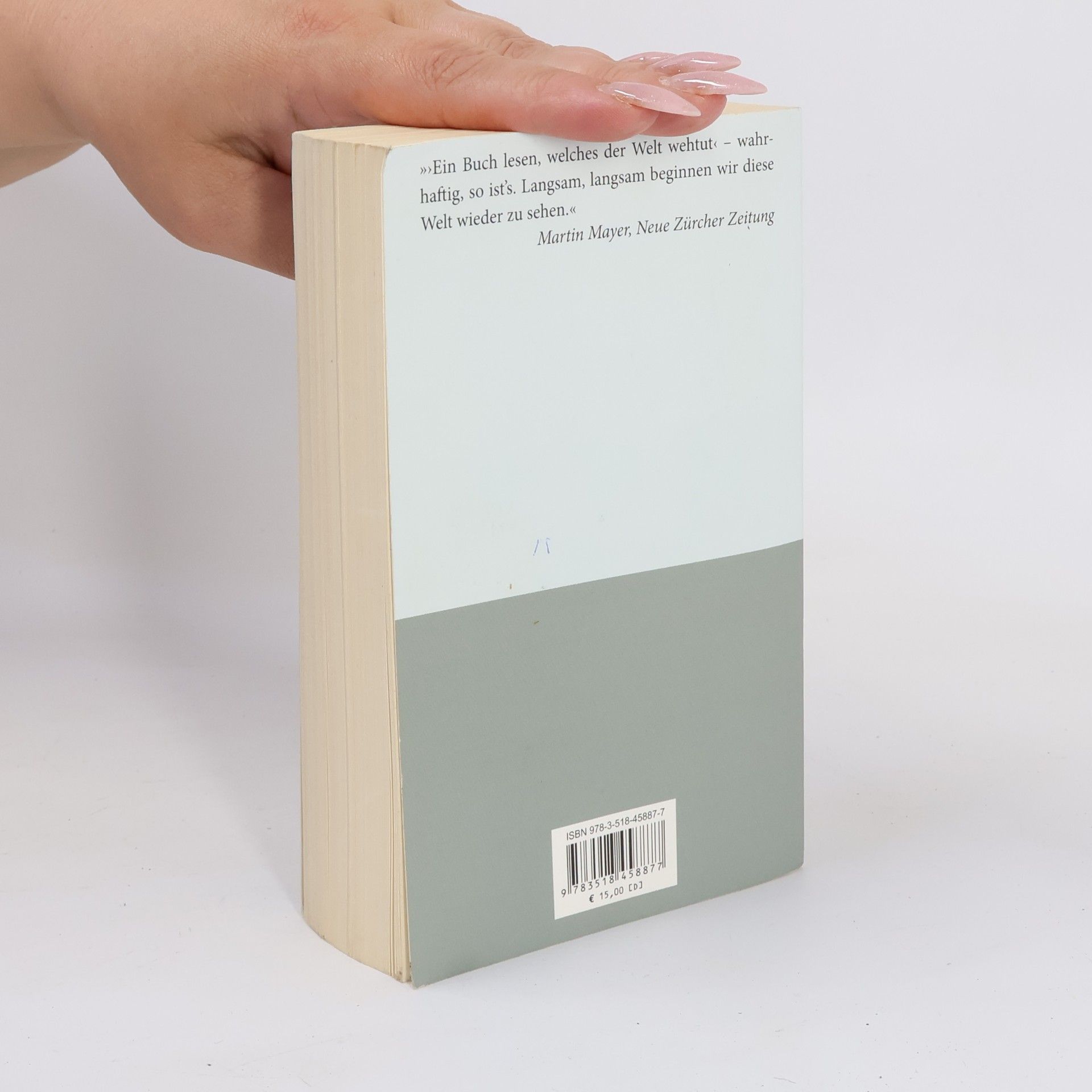 Peter Handke Mein Jahr in der Niemandsbucht