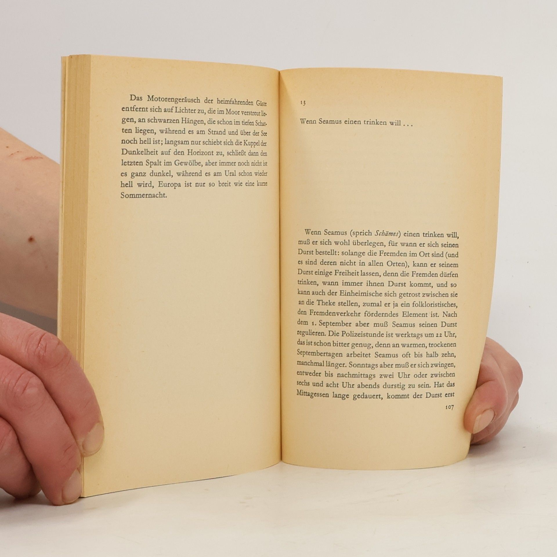 Heinrich Böll Irisches Tagebuch