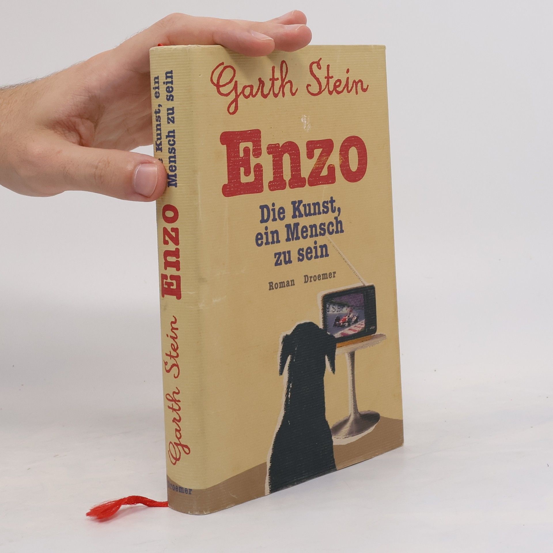 Garth Stein Enzo