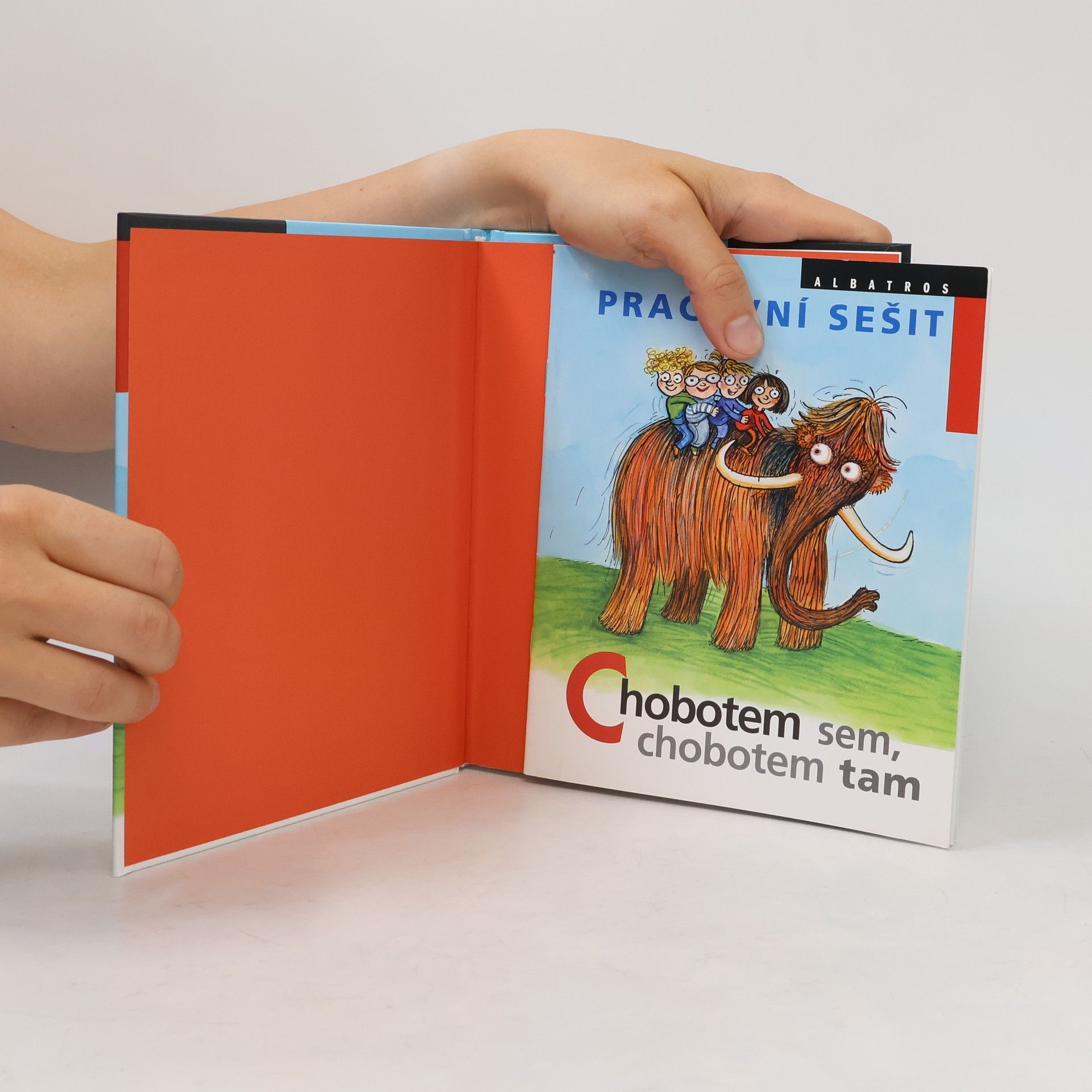 Ivona Březinová Chobotem sem, chobotem tam. Pracovní sešit