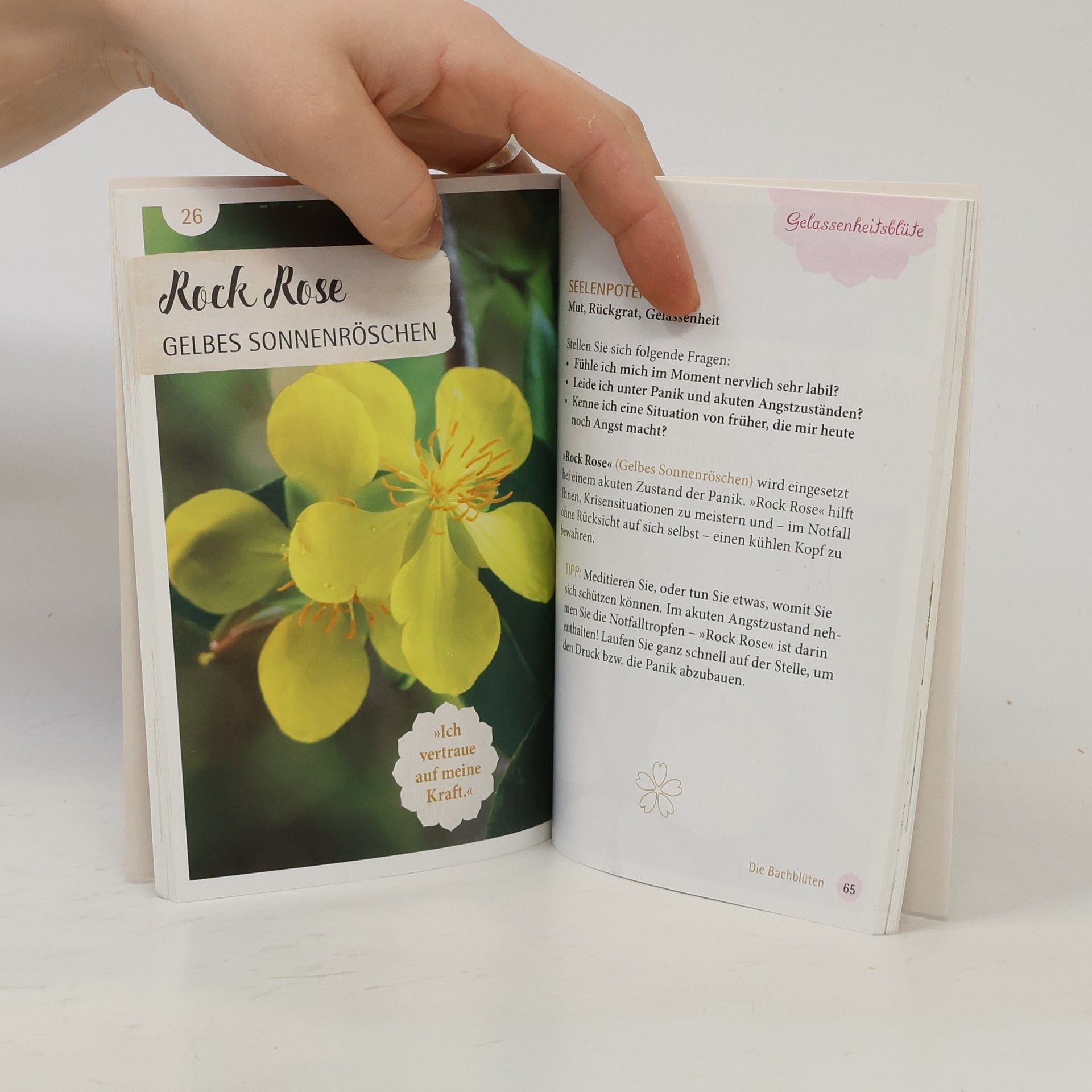 Maria Strasser Die richtige Bachblüte finden und die Seele stärken