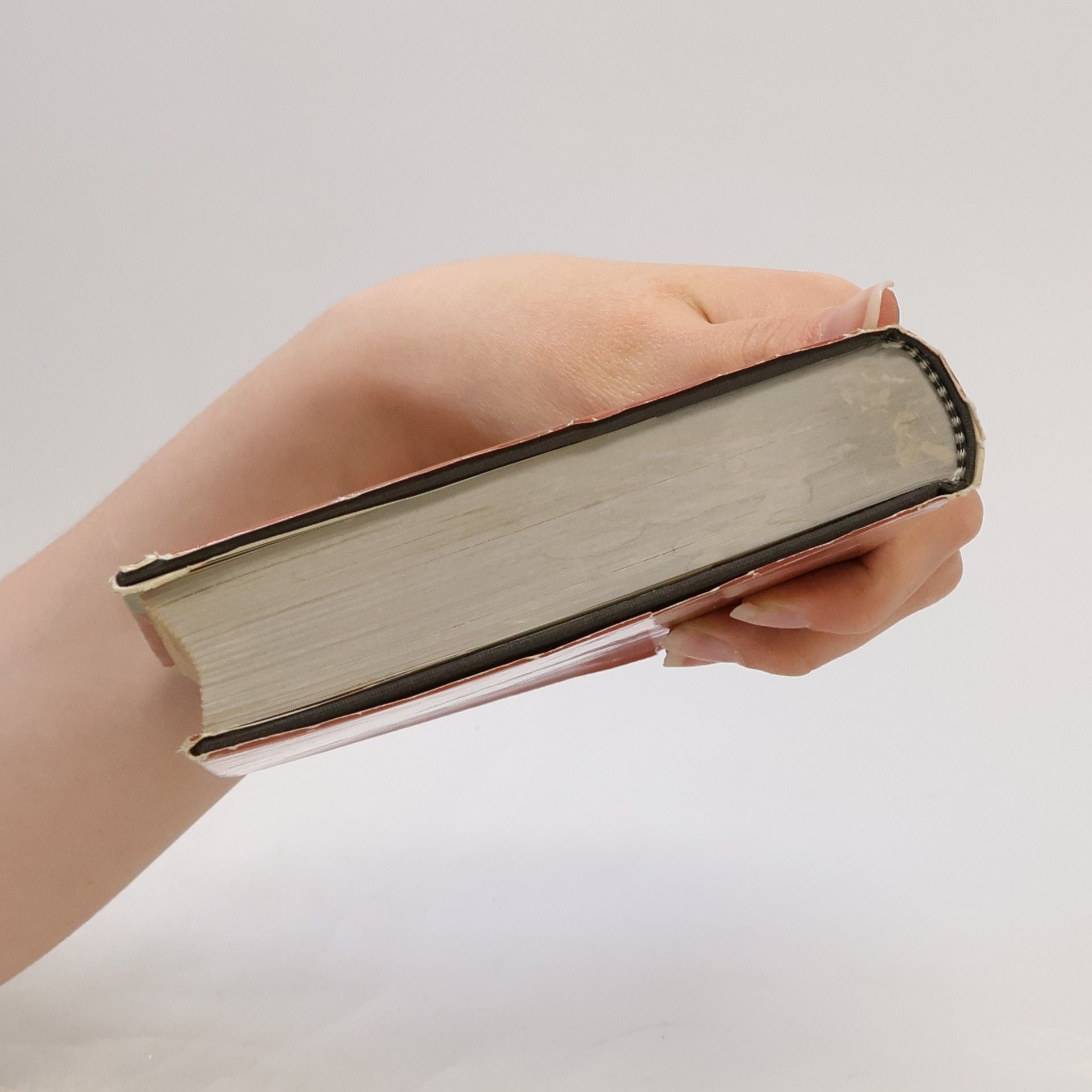 Erich Maria Remarque Liebe deinen Nächsten