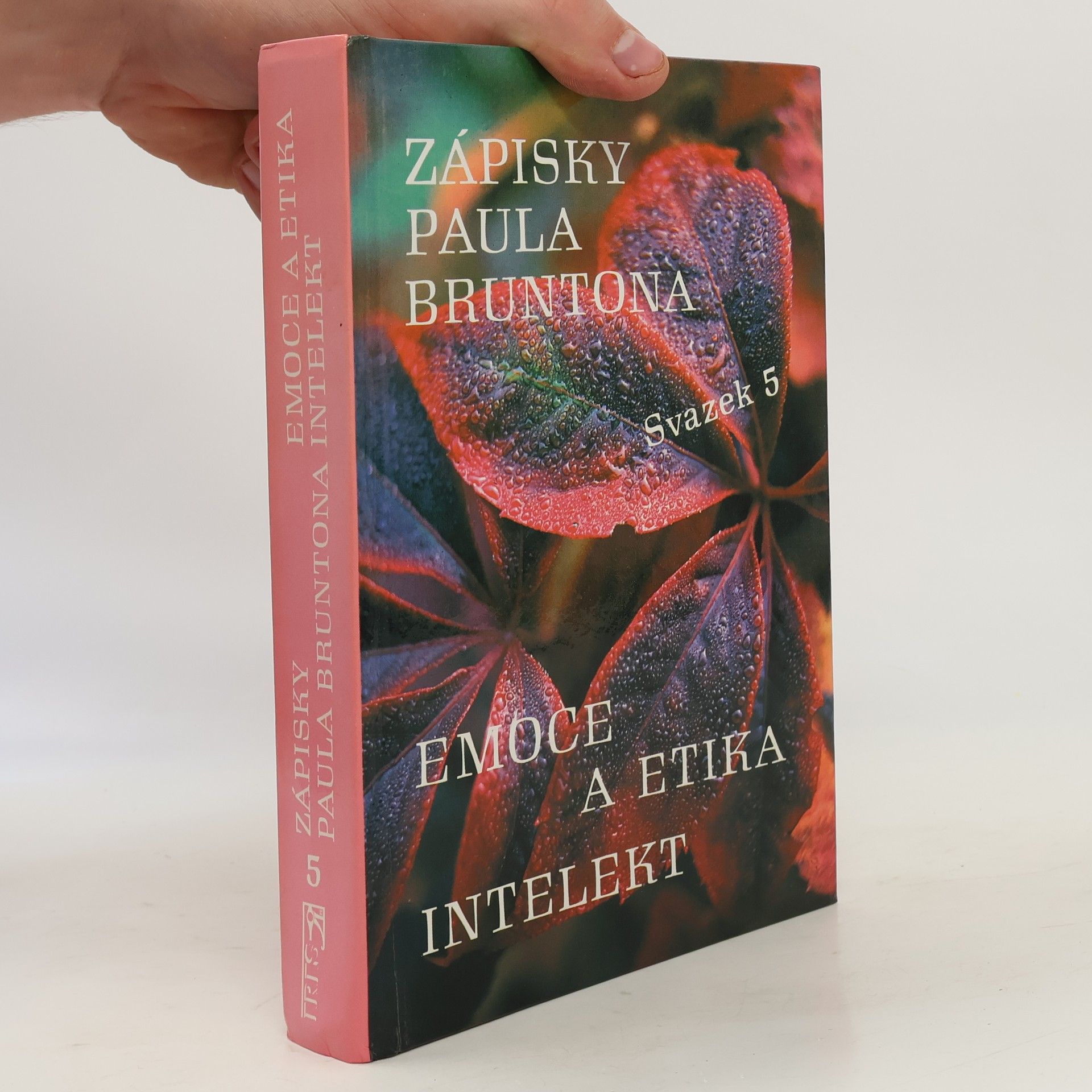 Paul Brunton Zápisky Paula Bruntona. Svazek 5