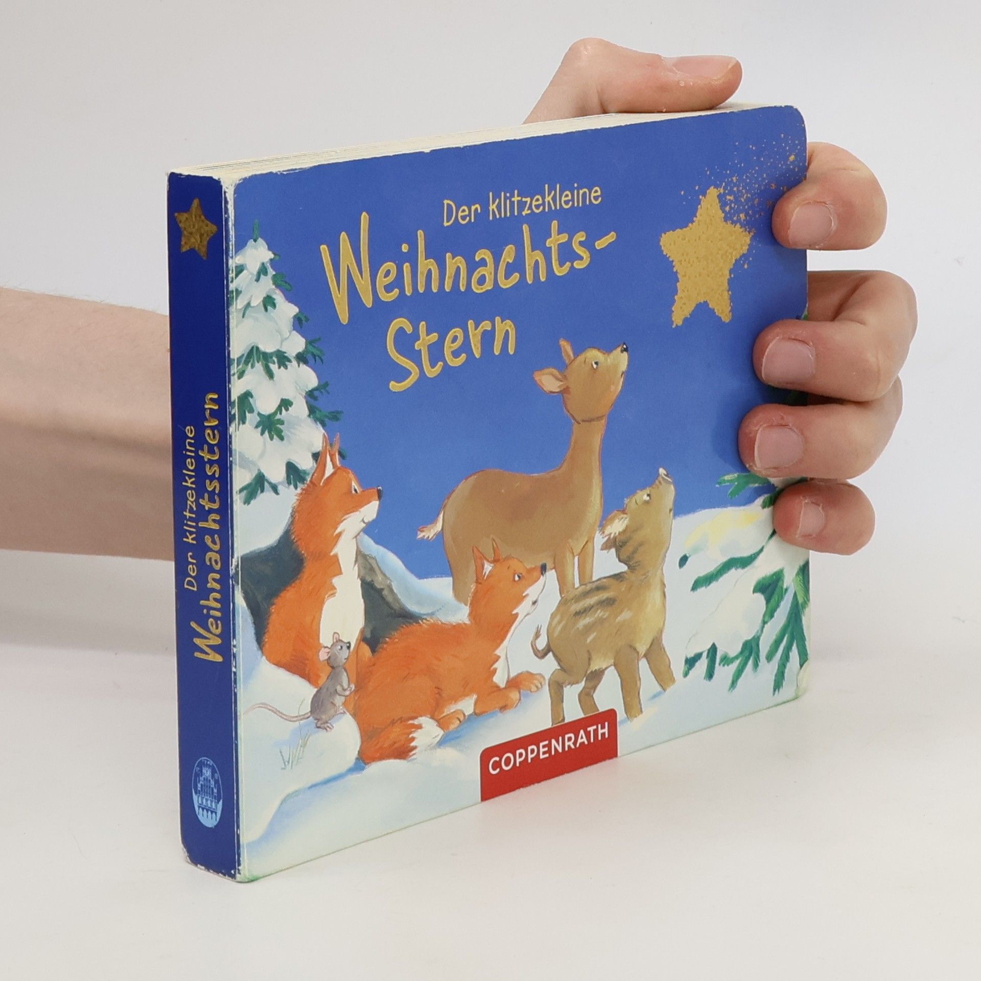 Der klitzekleine Weihnachtsstern