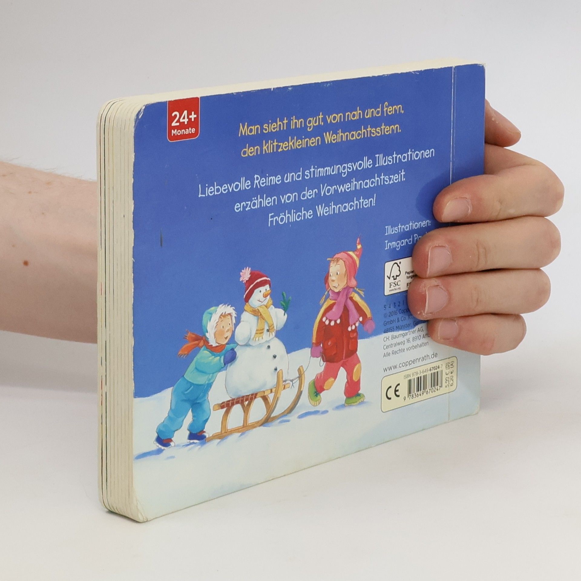 Irmgard Paule Der klitzekleine Weihnachtsstern