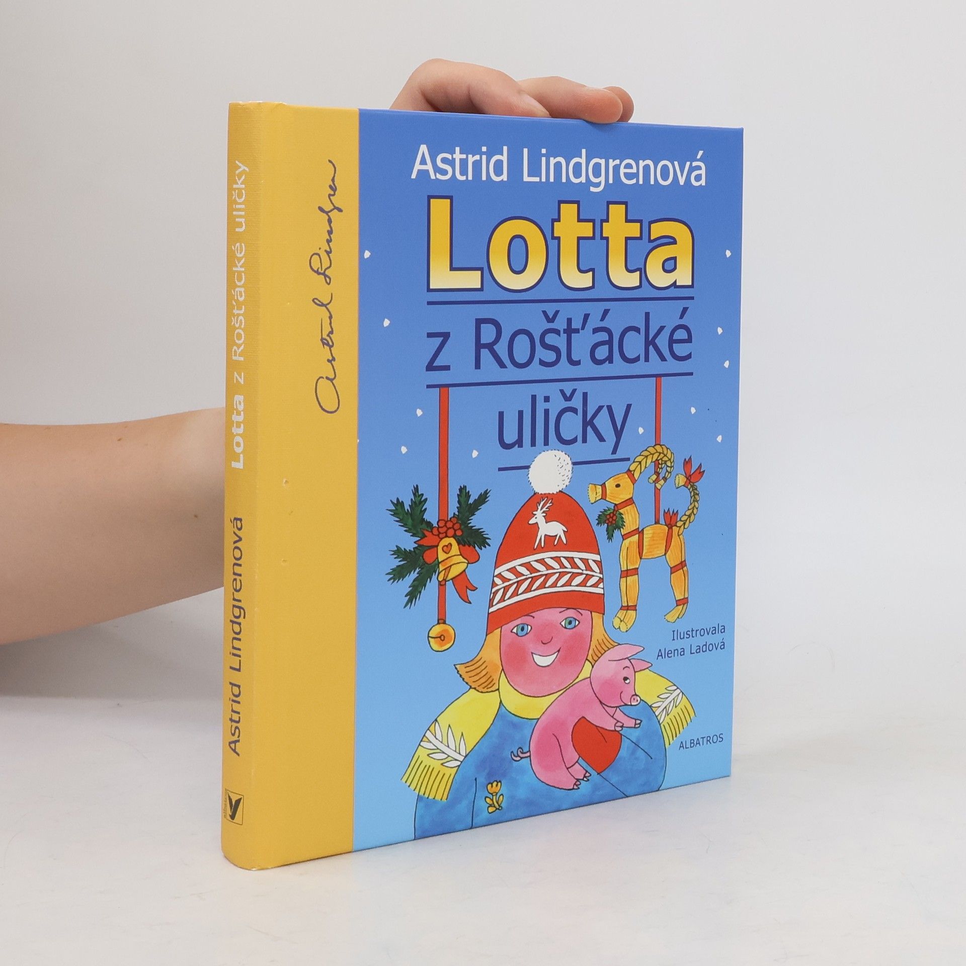 Karel Šebesta Lotta z Rošťácké uličky