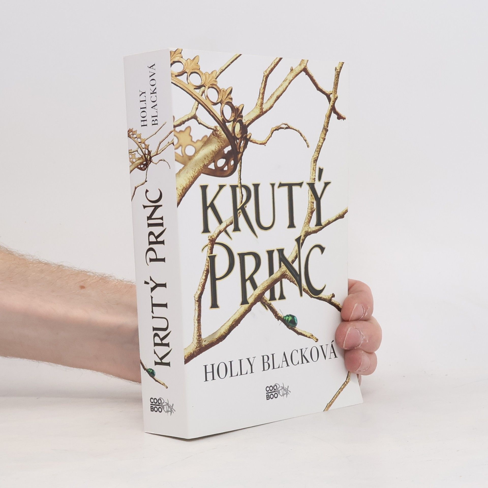 Holly Black Krutý princ