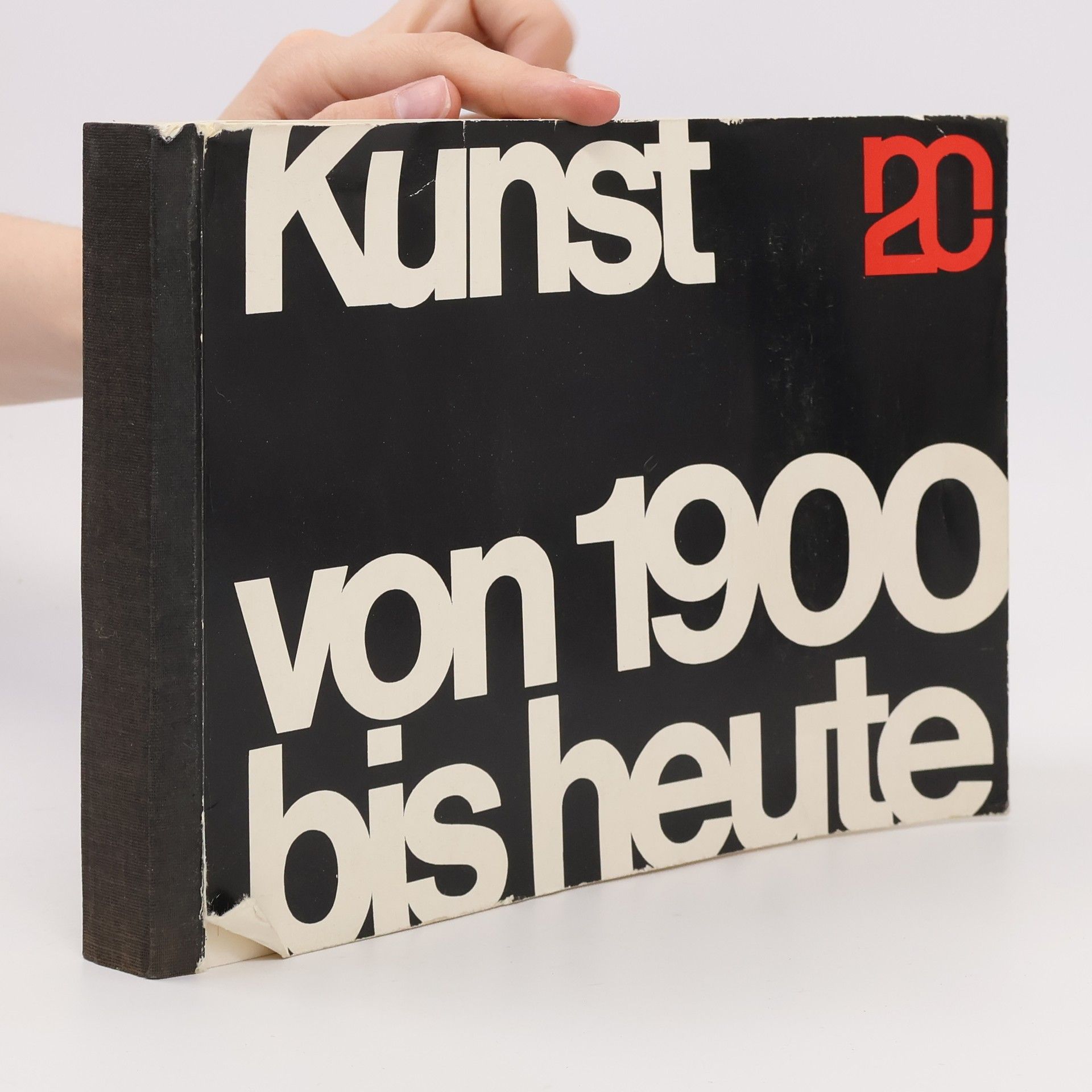 Nikolaus Pevsner Kunst von 1900 bis heute