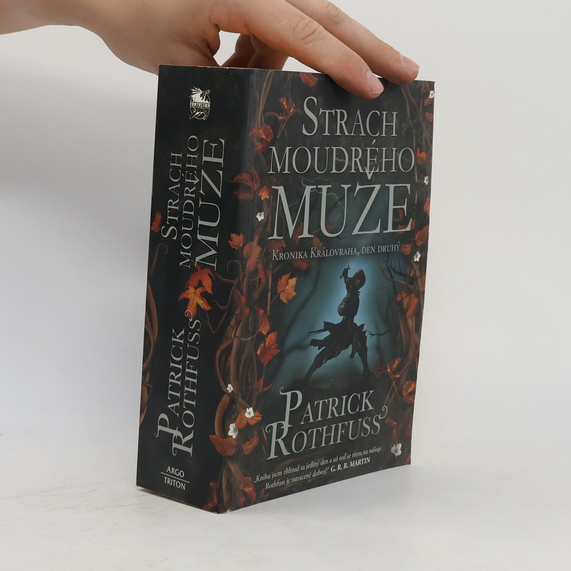 Patrick Rothfuss Strach moudrého muže