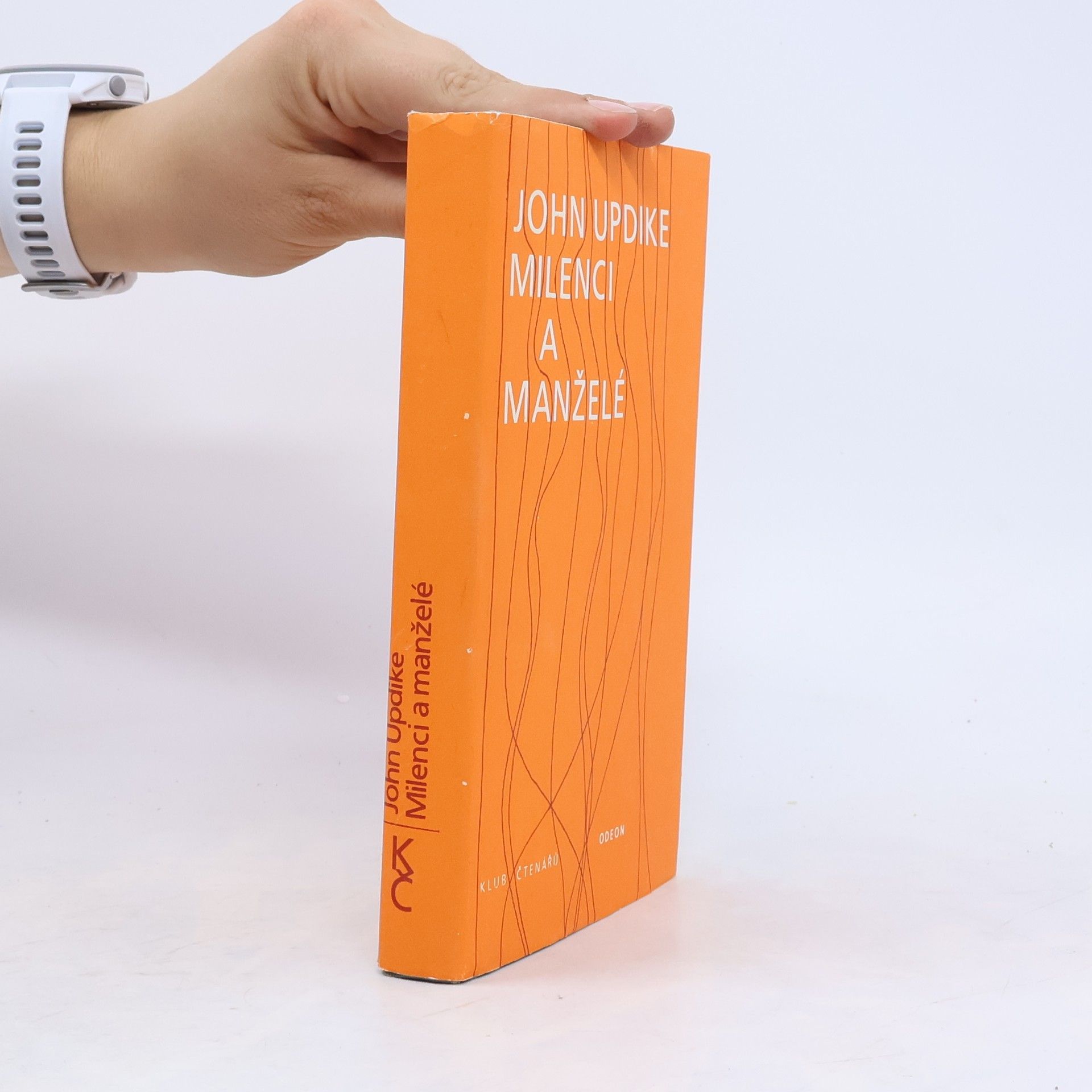 John Updike Milenci a manželé