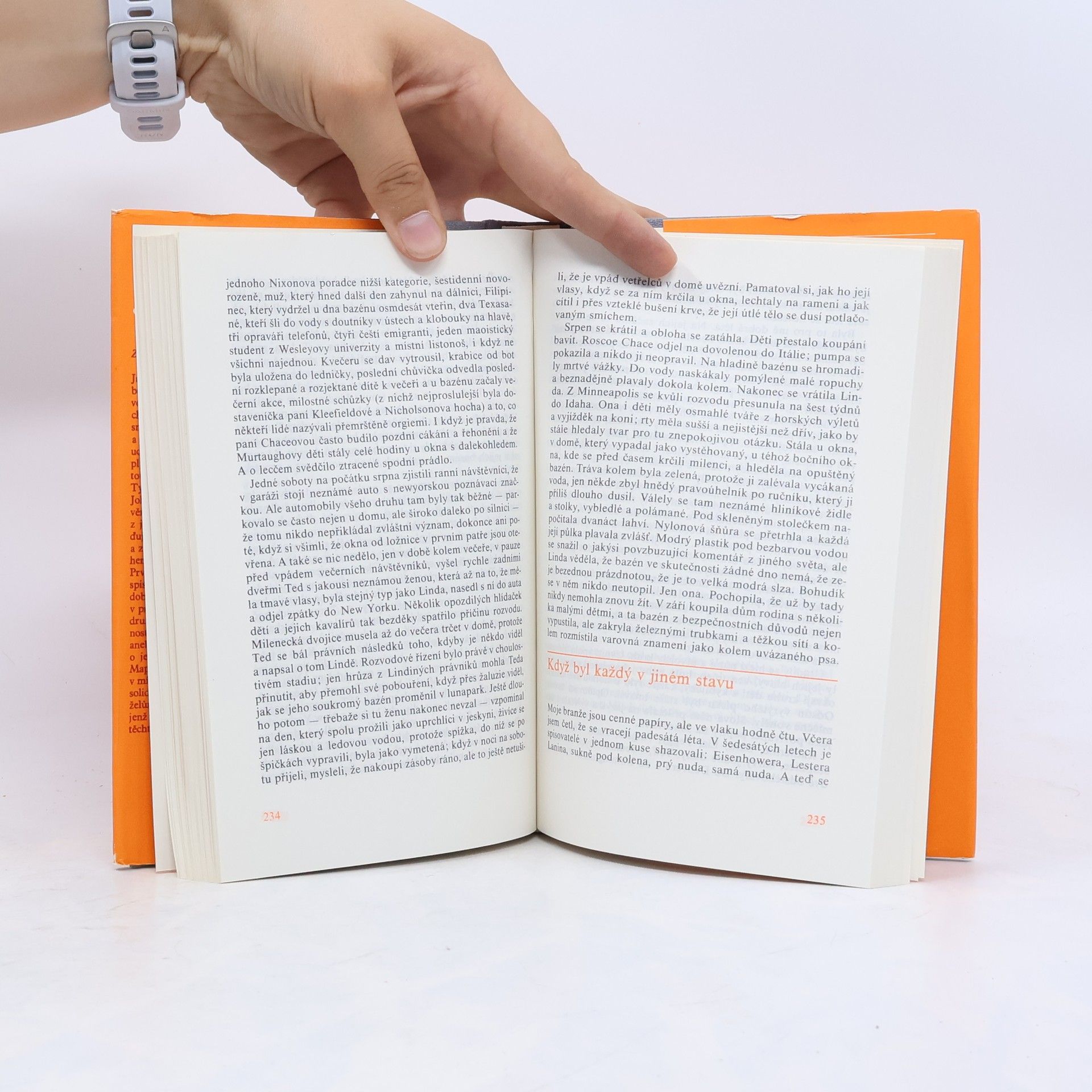 John Updike Milenci a manželé