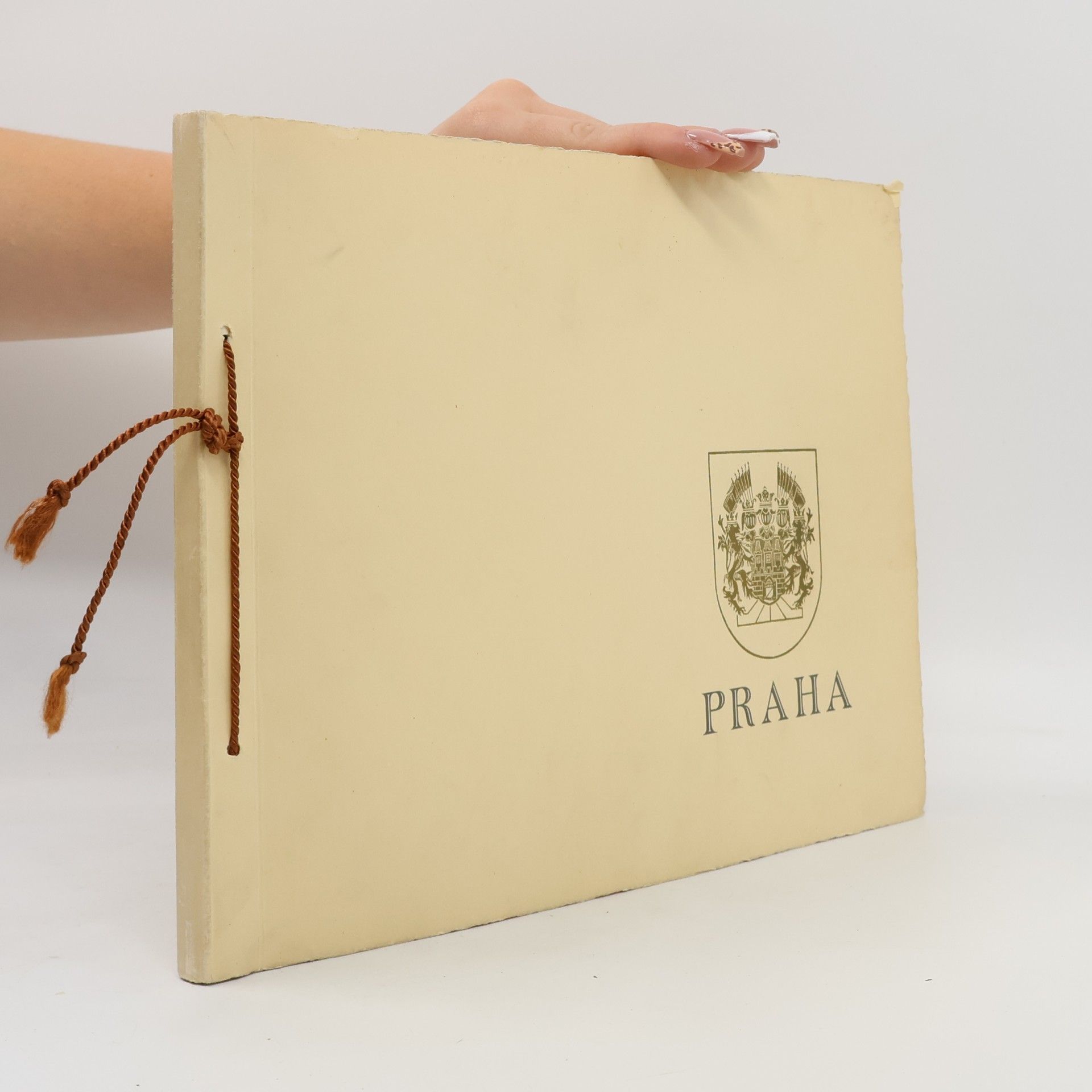 Collectif d'auteurs Praha