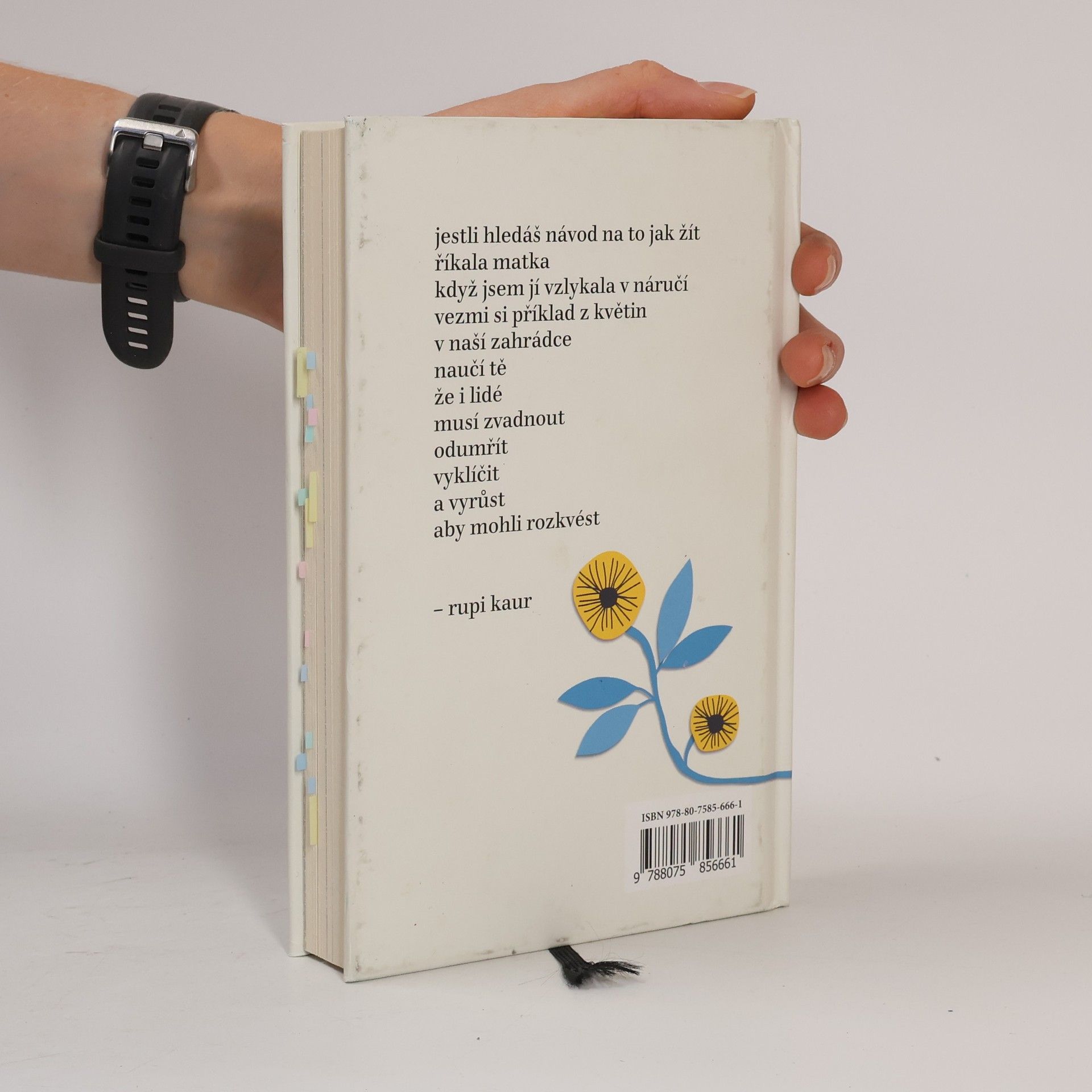 Rupi Kaur Květy slunce
