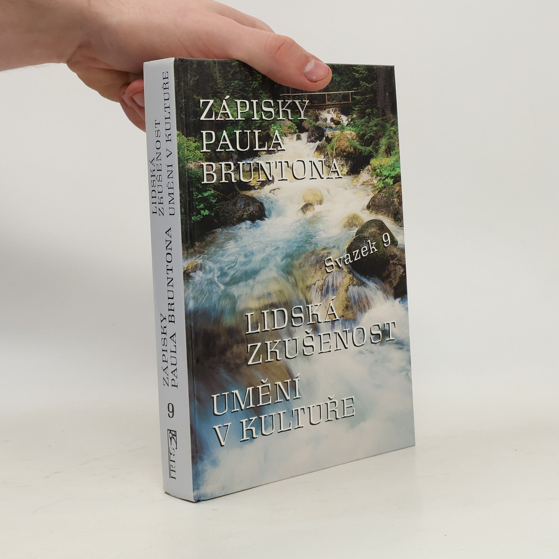 Paul Brunton Zápisky Paula Bruntona 9. Lidská zkušenost. Umění v kultuře