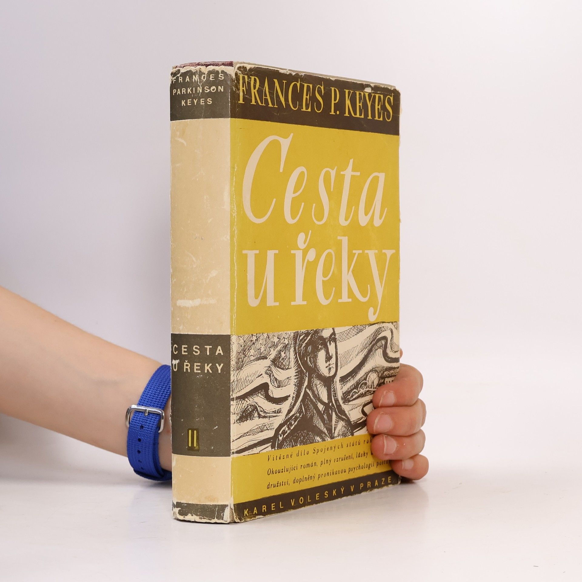 Frances Parkinson Keyes Cesta u řeky II. díl