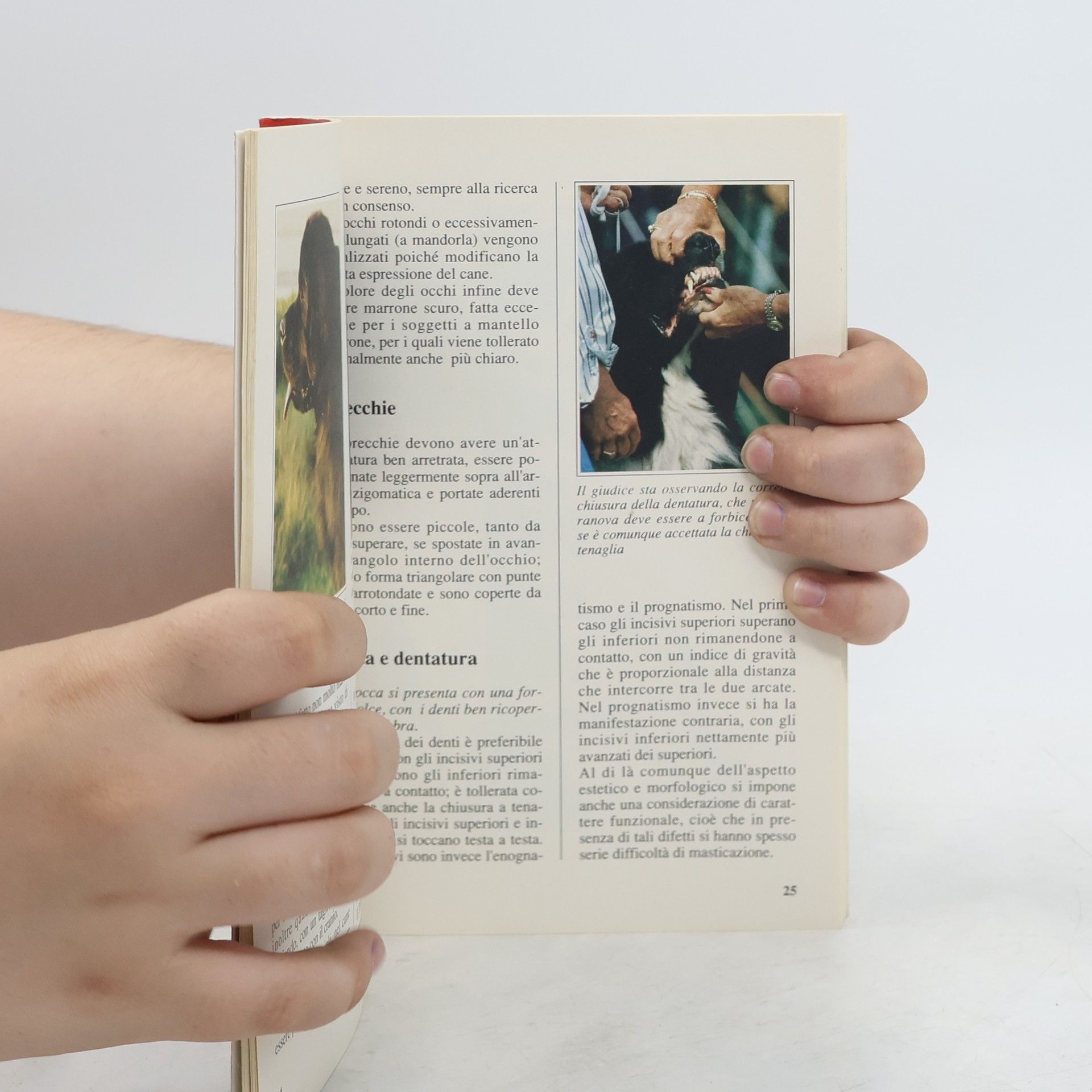 Guido Mazza Le Colorguide. Cani di razza: Il Terranova