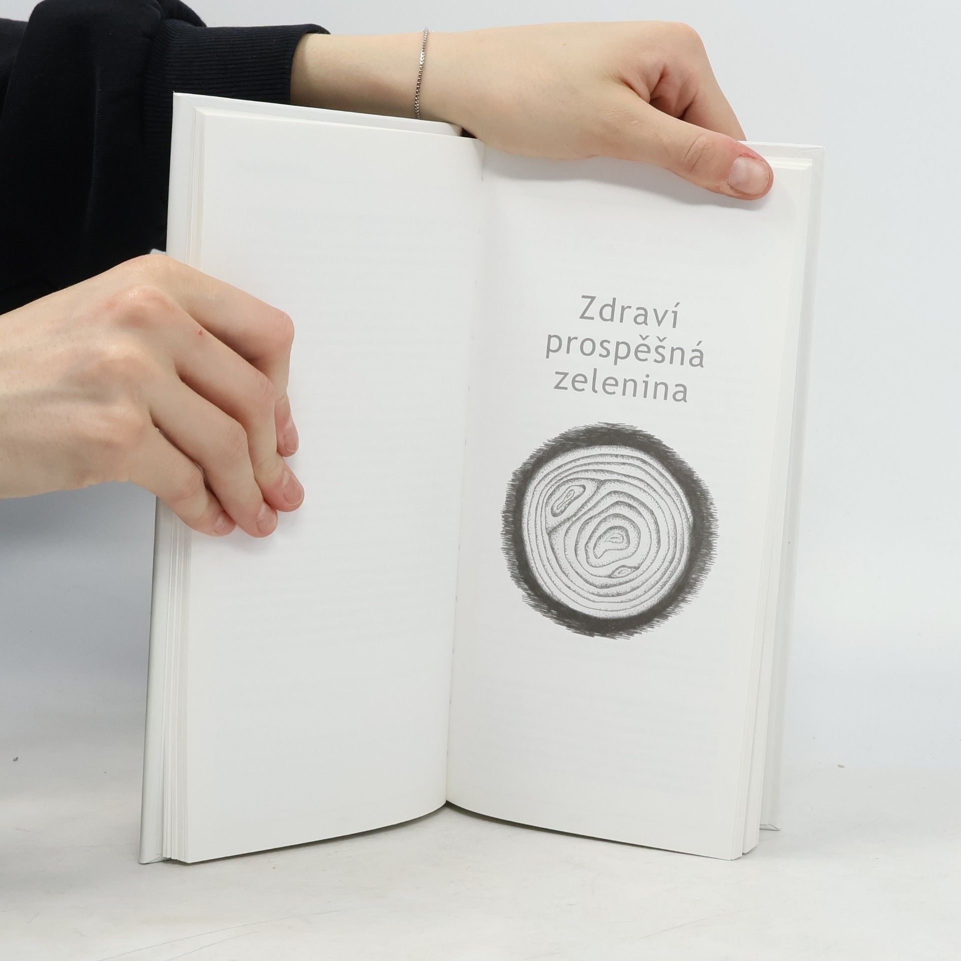 Margaret Briggs Česnek & cibule : mnohostranné, užitečné a zdraví prospěšné