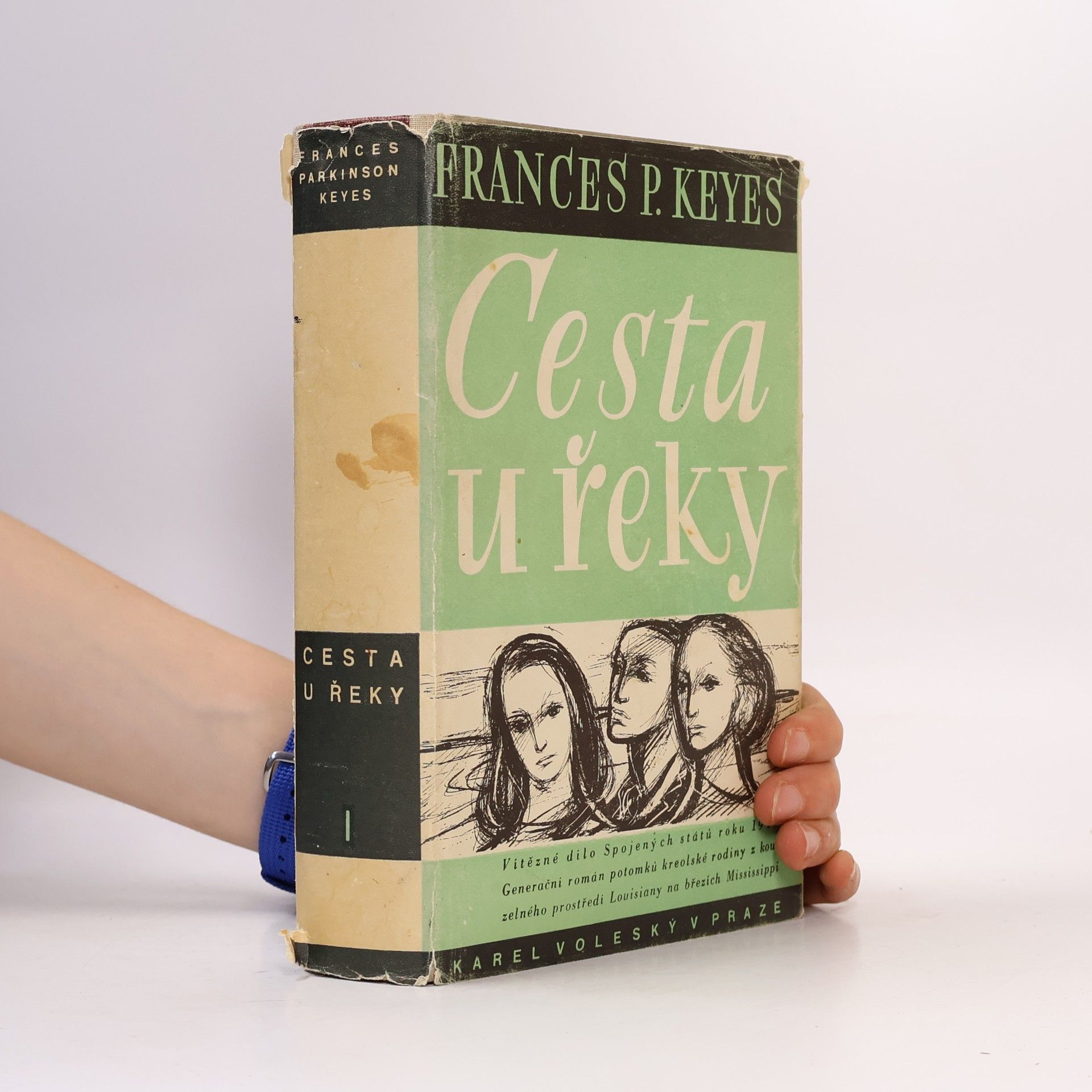 Frances Parkinson Keyes Cesta u řeky I.