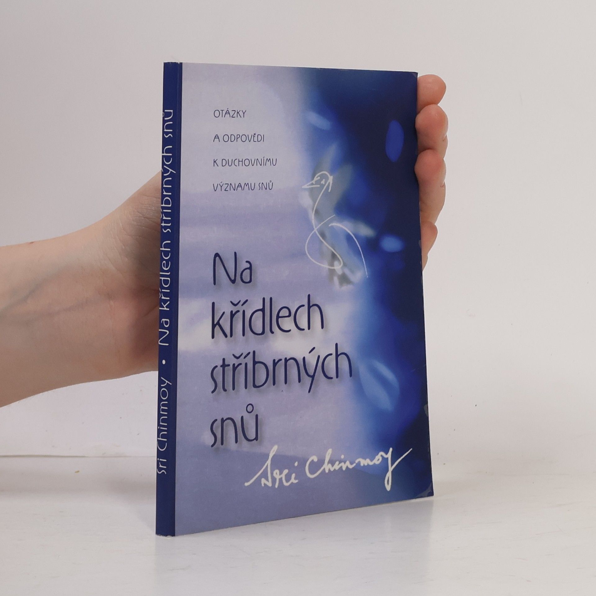 Šrí Činmoj Na křídlech stříbrných snů