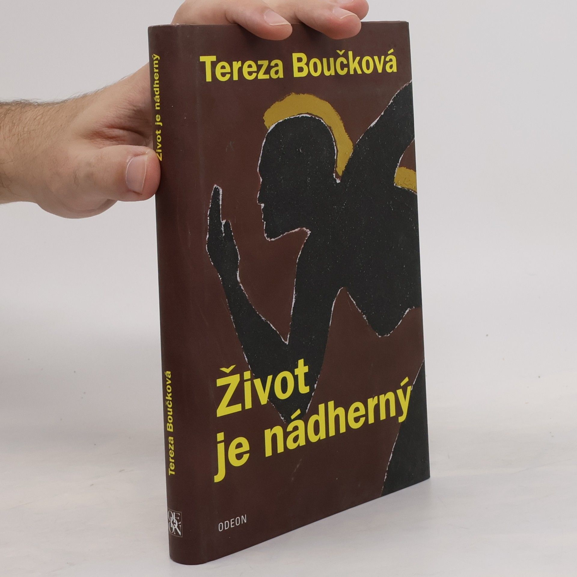 Tereza Boučková Život je nádherný