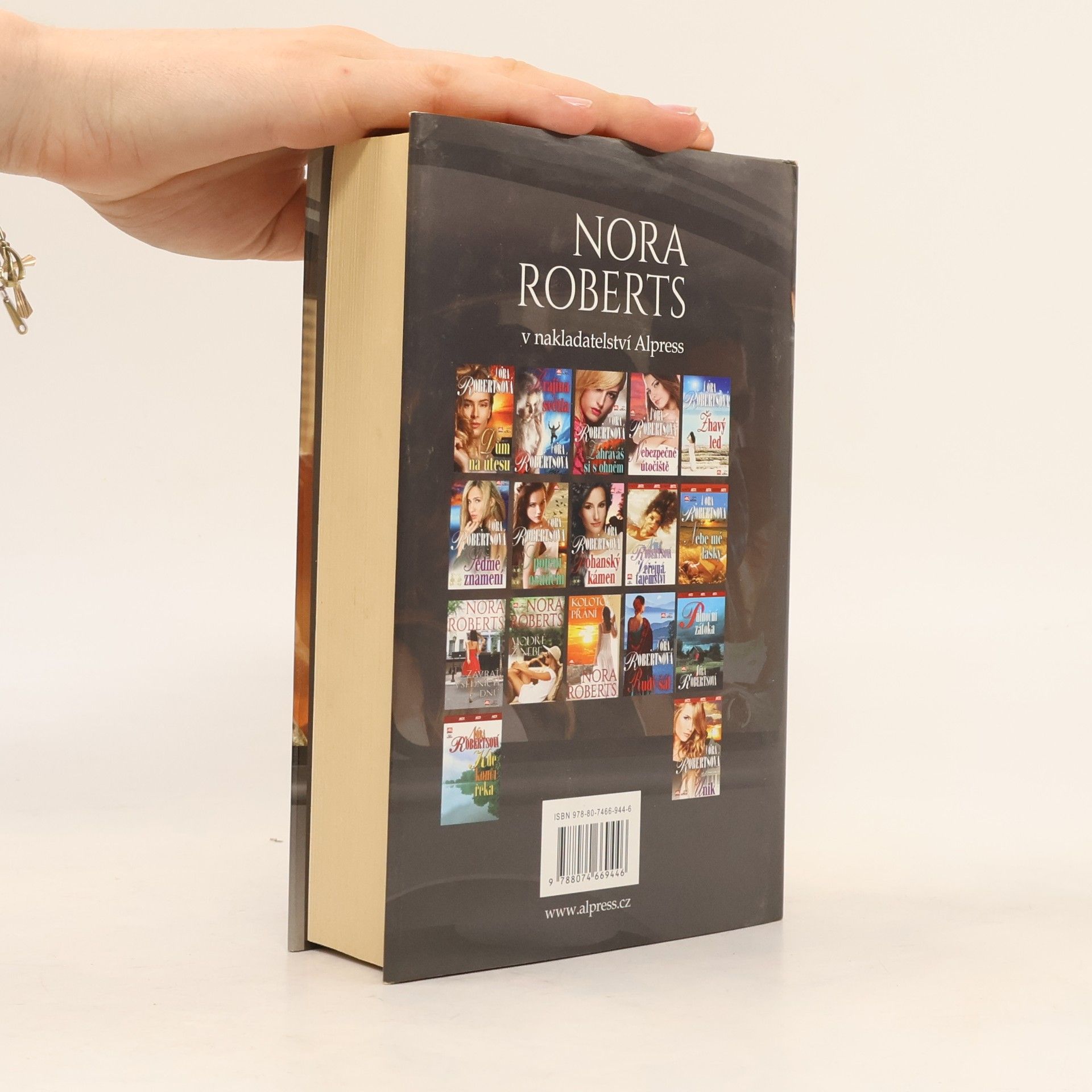 Nora Roberts Kdo chce víc