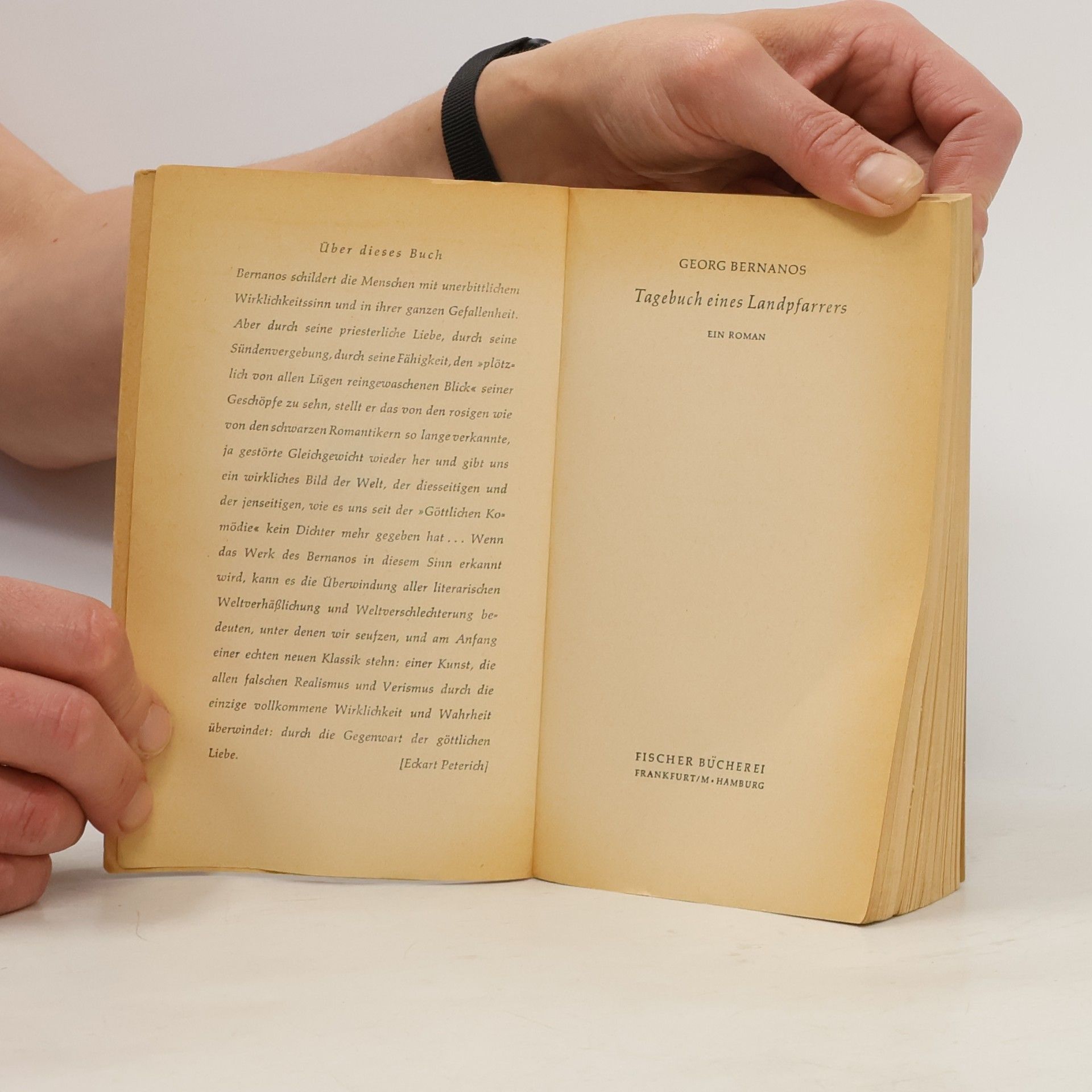 Georges Bernanos Tagebuch eines Landpfarrers
