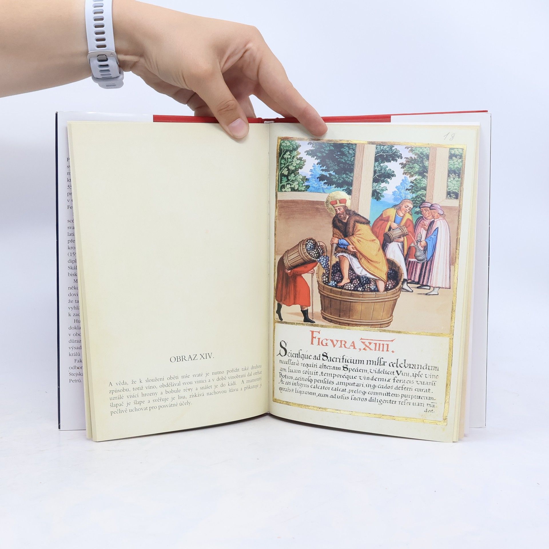 Matěj Hutský z. Křivoklátu Historické obrazy života a umučení svatého Václava, knížete českého