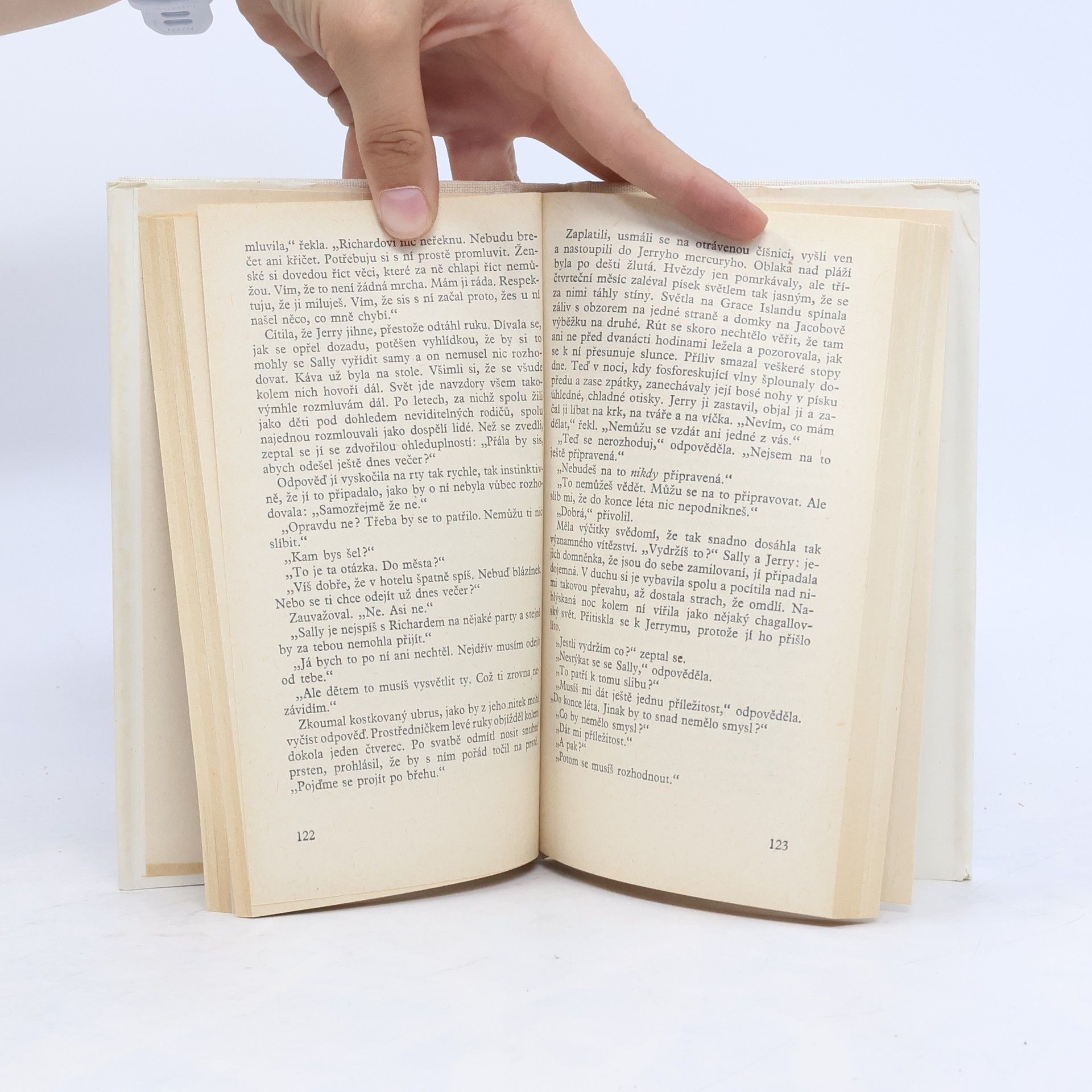 John Updike Chceš si mě vzít?