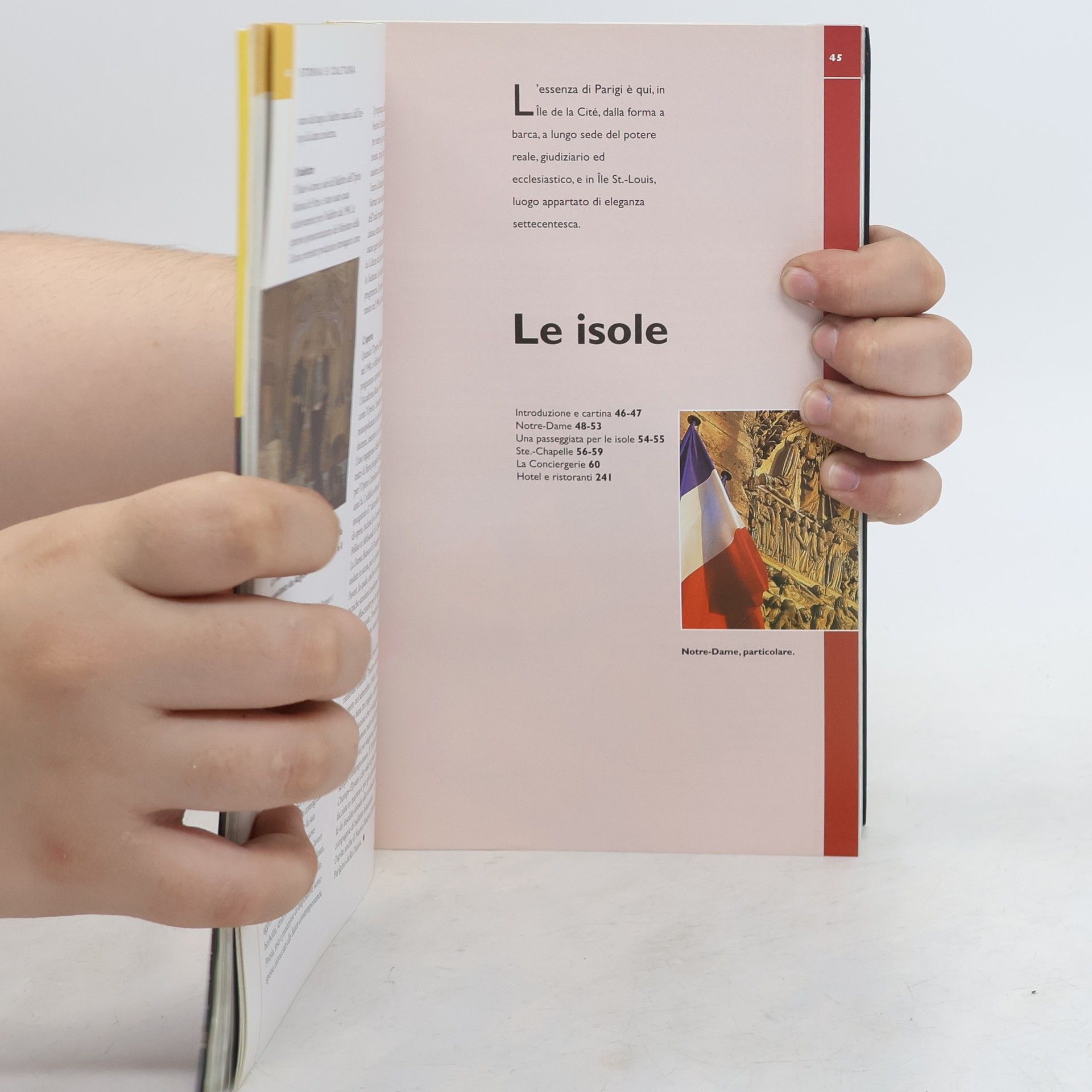 Lisa Davidson Le Guide Traveler di National Geographic - 2: Parigi