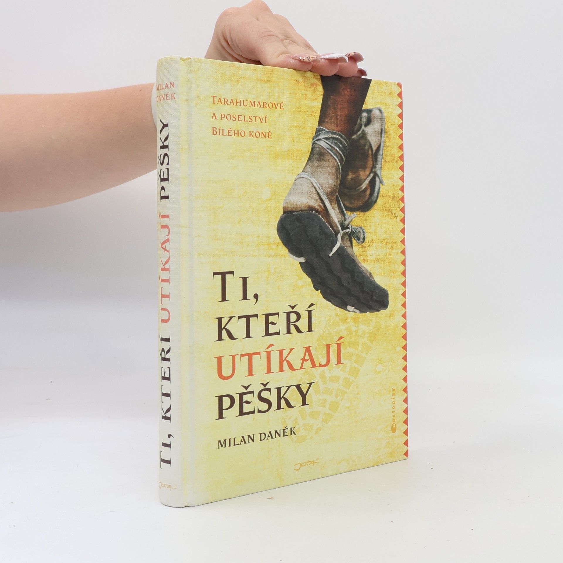 Milan Daněk Ti, kteří utíkají pěšky