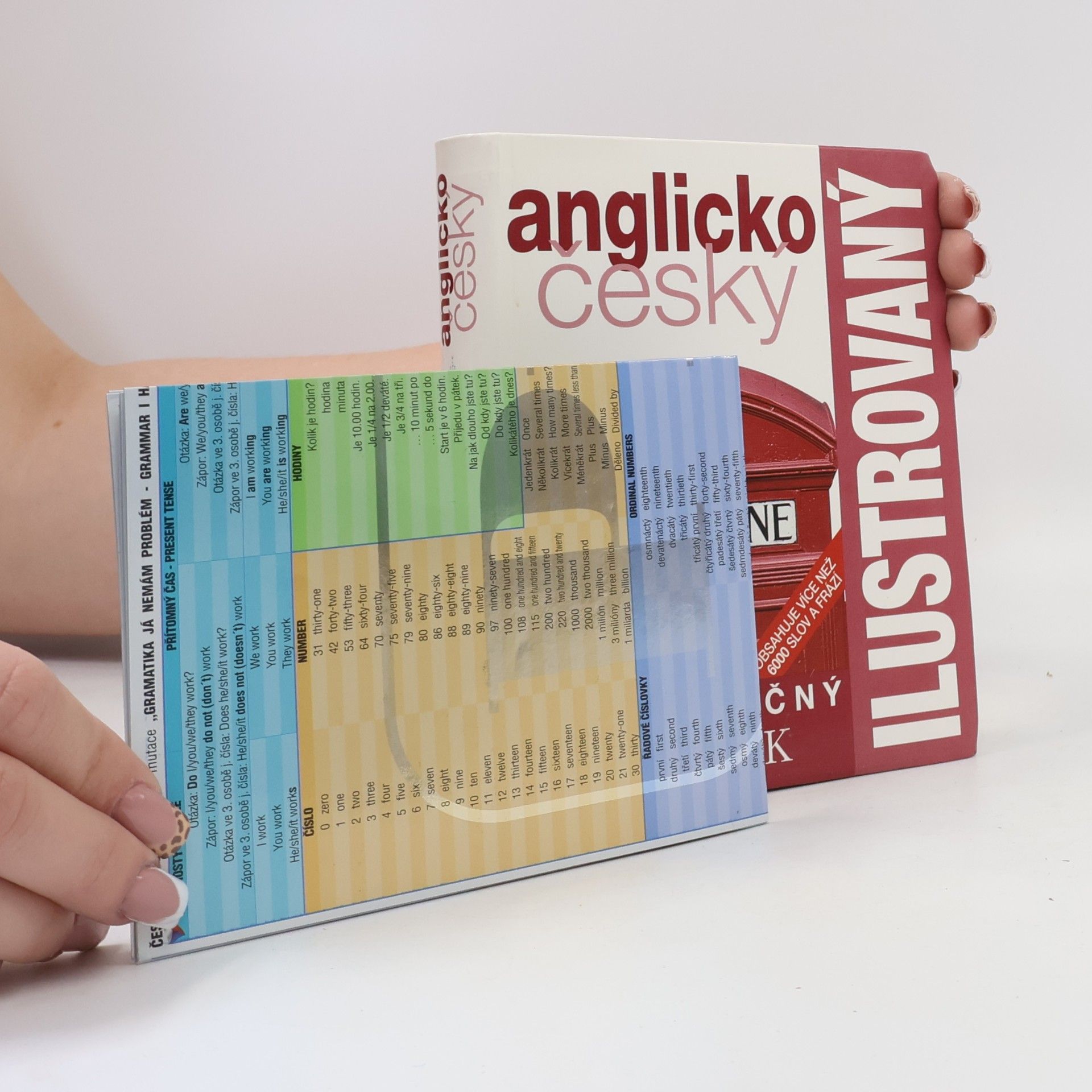 Collectif d'auteurs Dvojjazyčný anglicko český ilustrovaný slovník