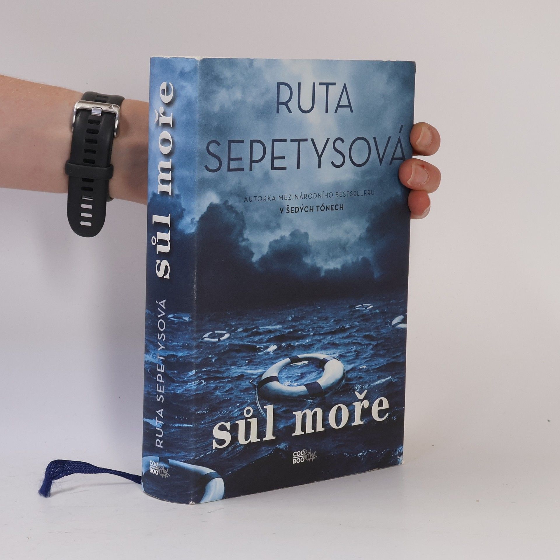 Ruta Sepetys Sůl moře