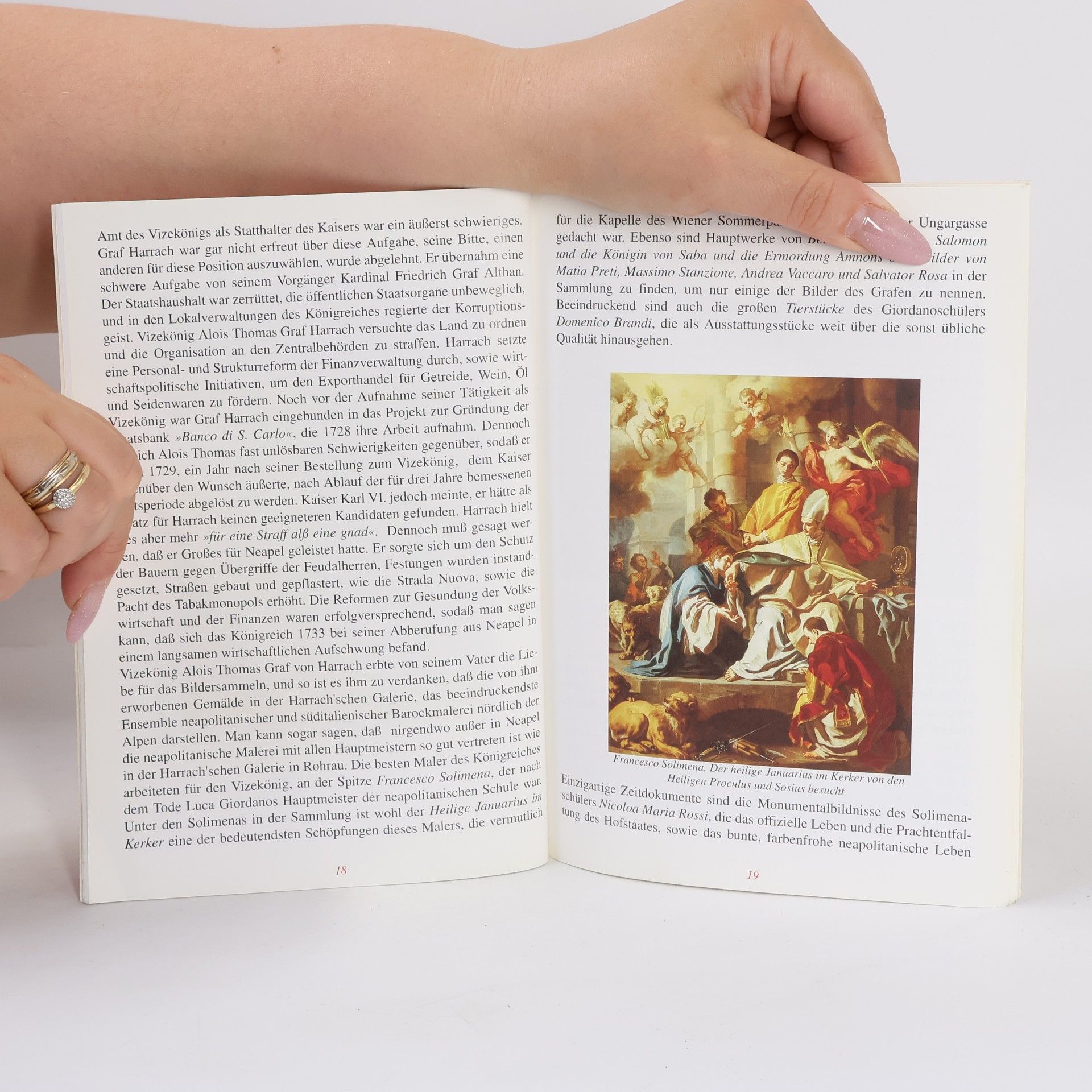 Autores varios Schloss Rohrau : Graf Harrach'sche Familiensammlung