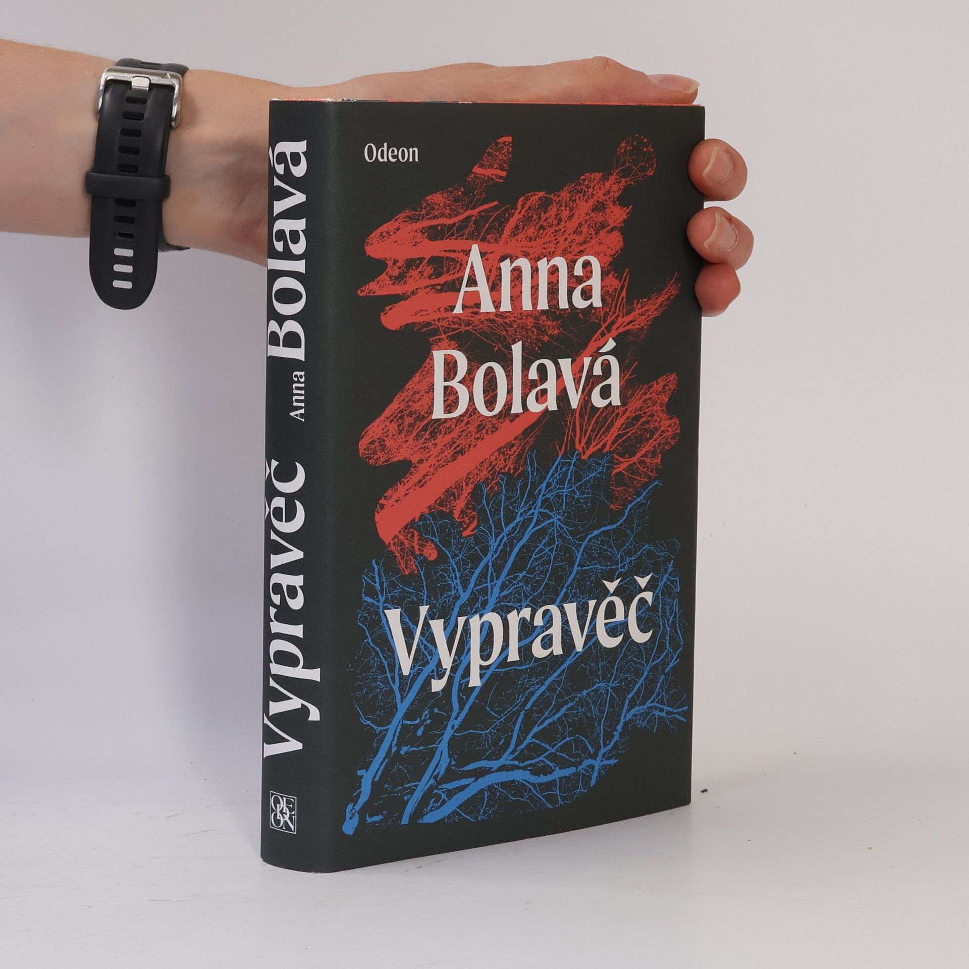Anna Bolavá Vypravěč