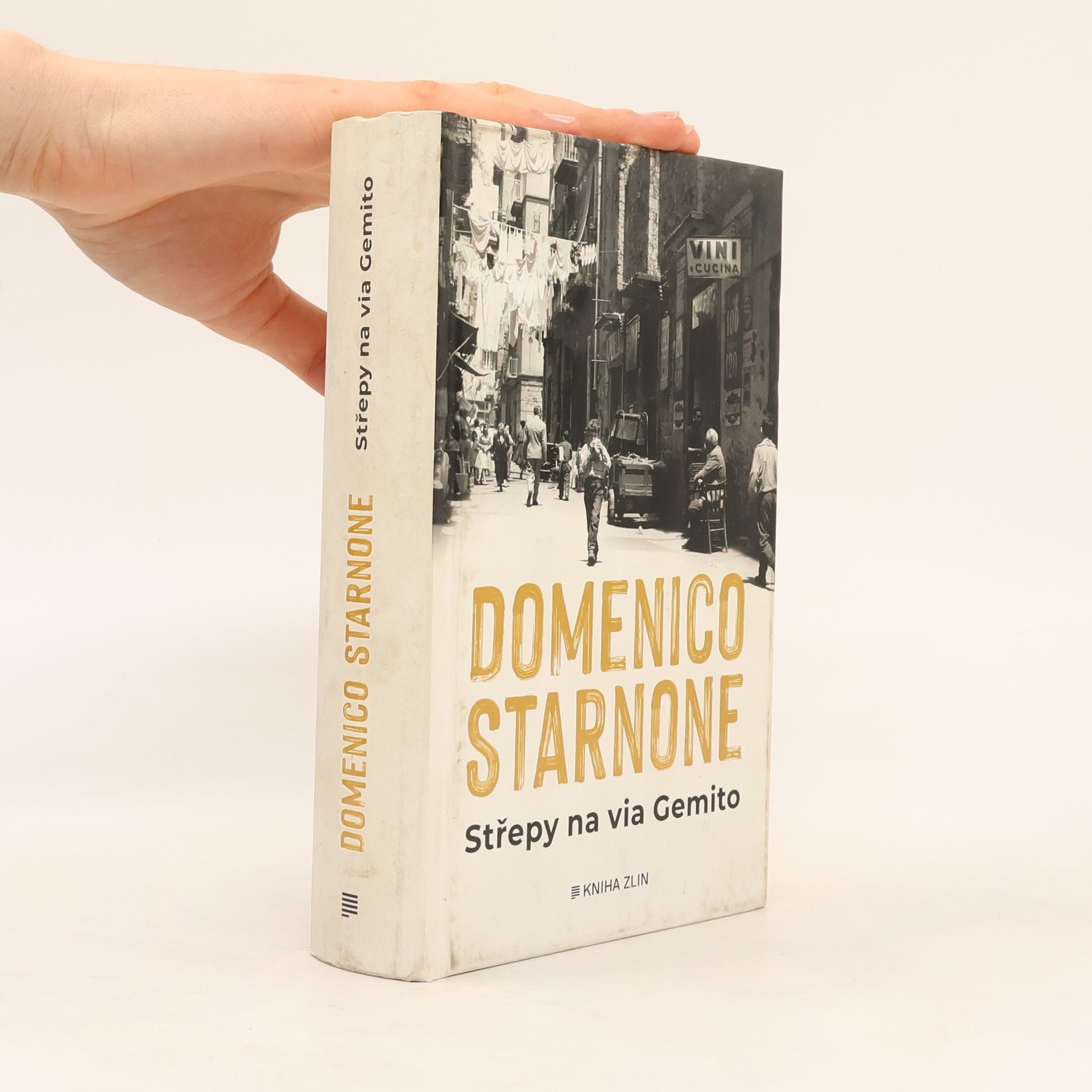 Domenico Starnone Střepy na via Gemito