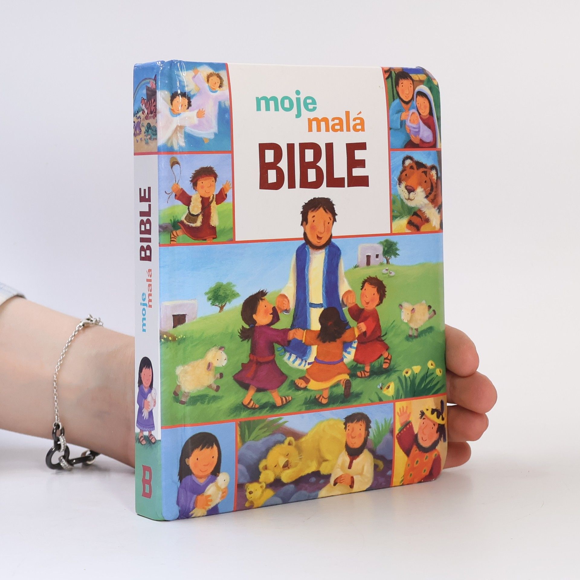 Christina Goodings Moje malá bible