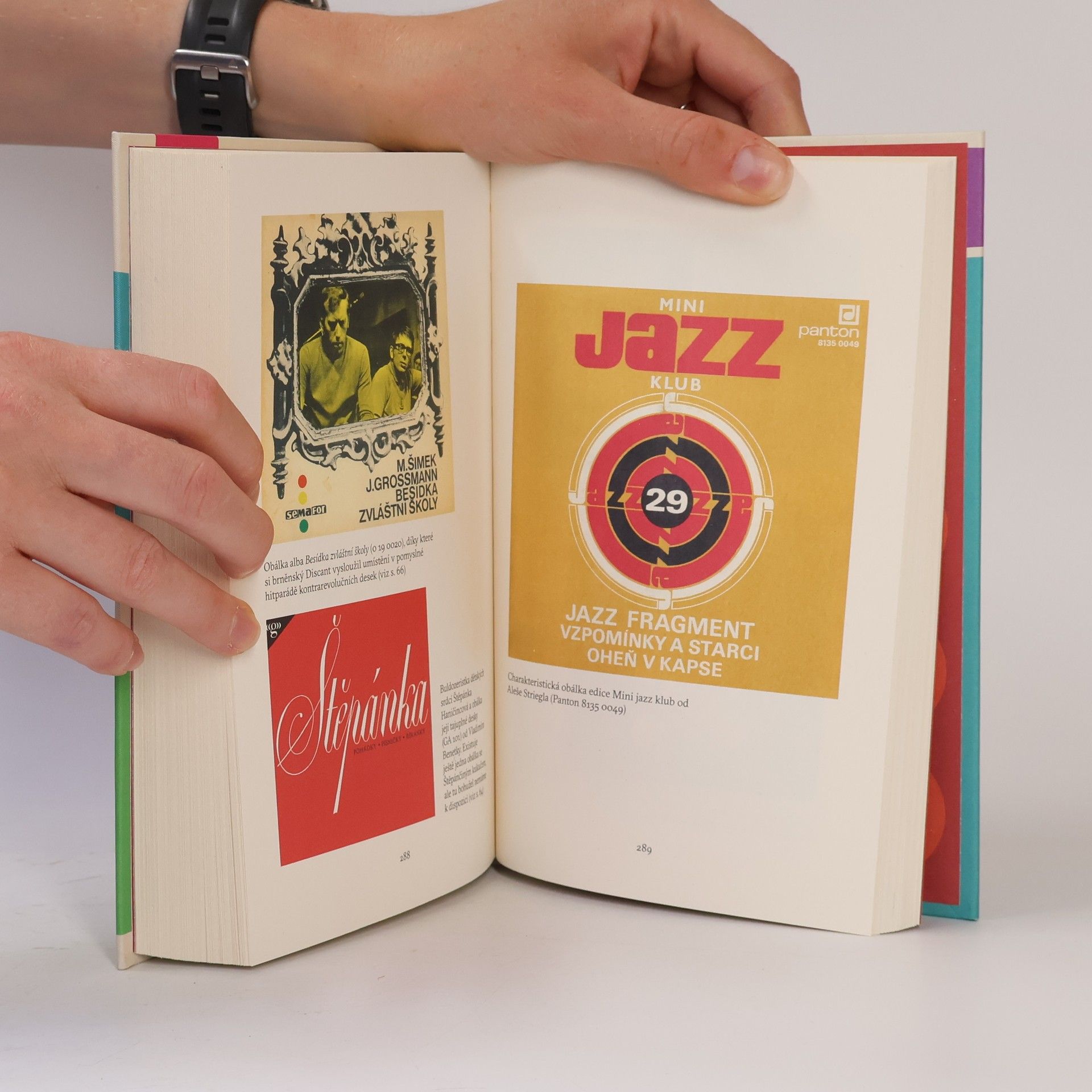Radek Diestler Vyprávění z vinylového věku: Historie české gramofonové desky