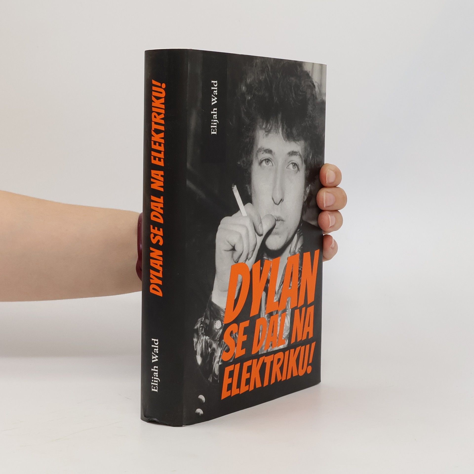 Elijah Wald Dylan se dal na elektriku!