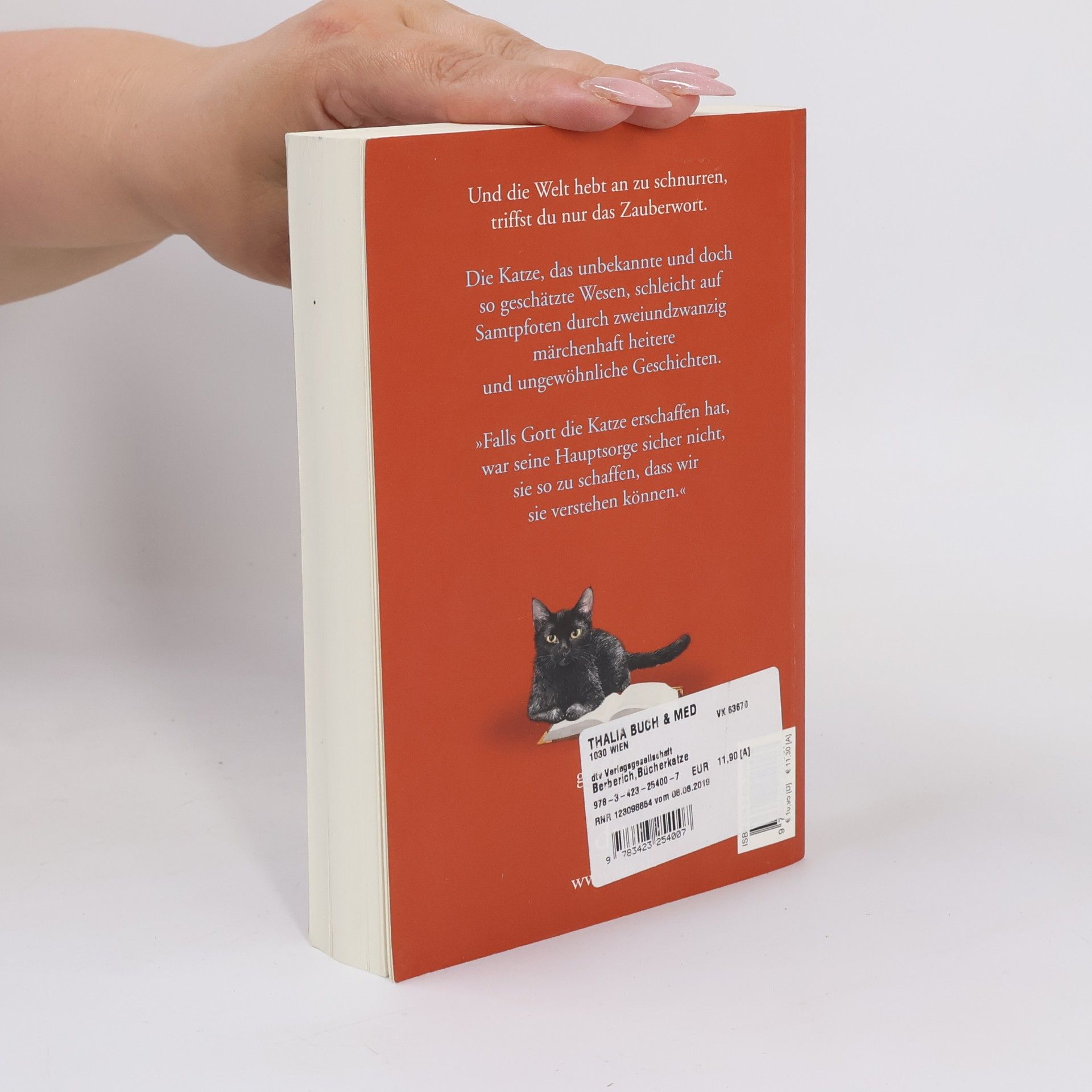 Eva Berberich Die Bücherkatze