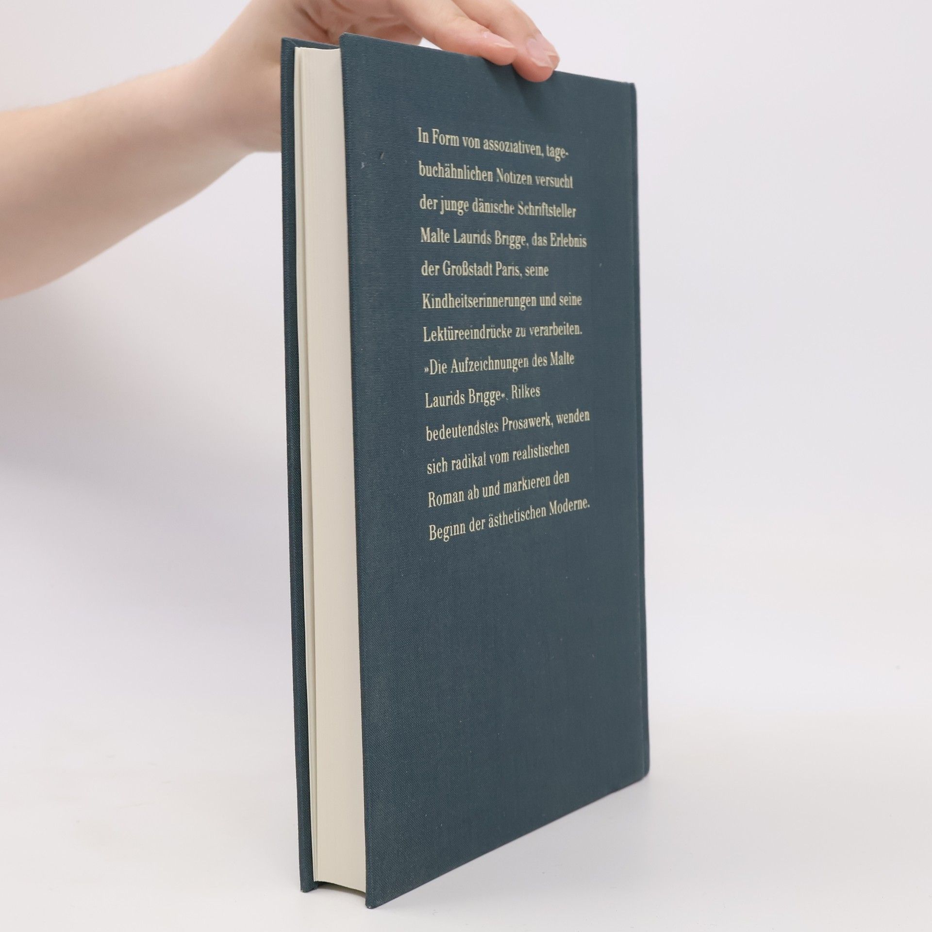 Rainer Maria Rilke Aufzeichnungen des Malte Laurids Brigge.,