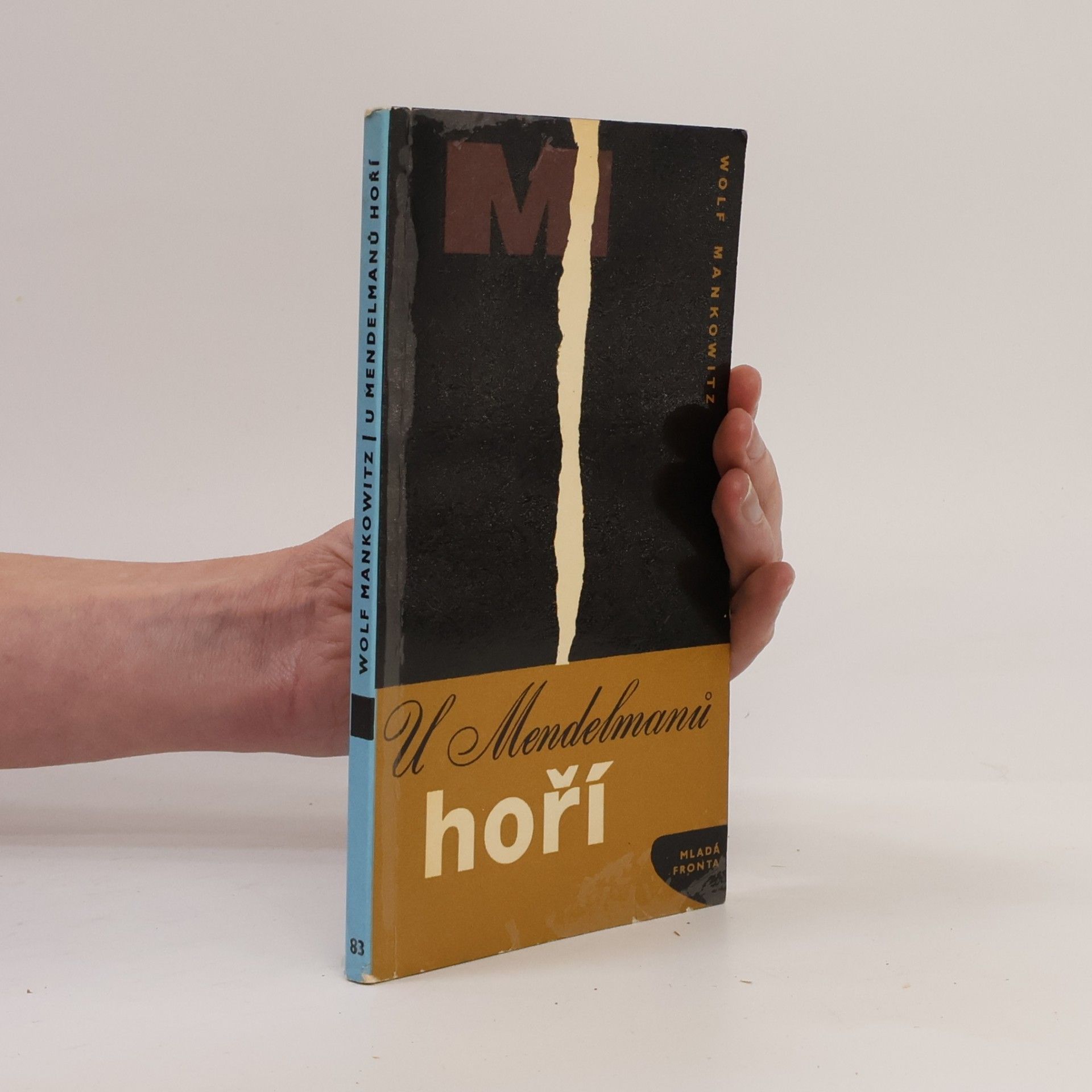 Wolf Mankowitz U Mendelmanů hoří