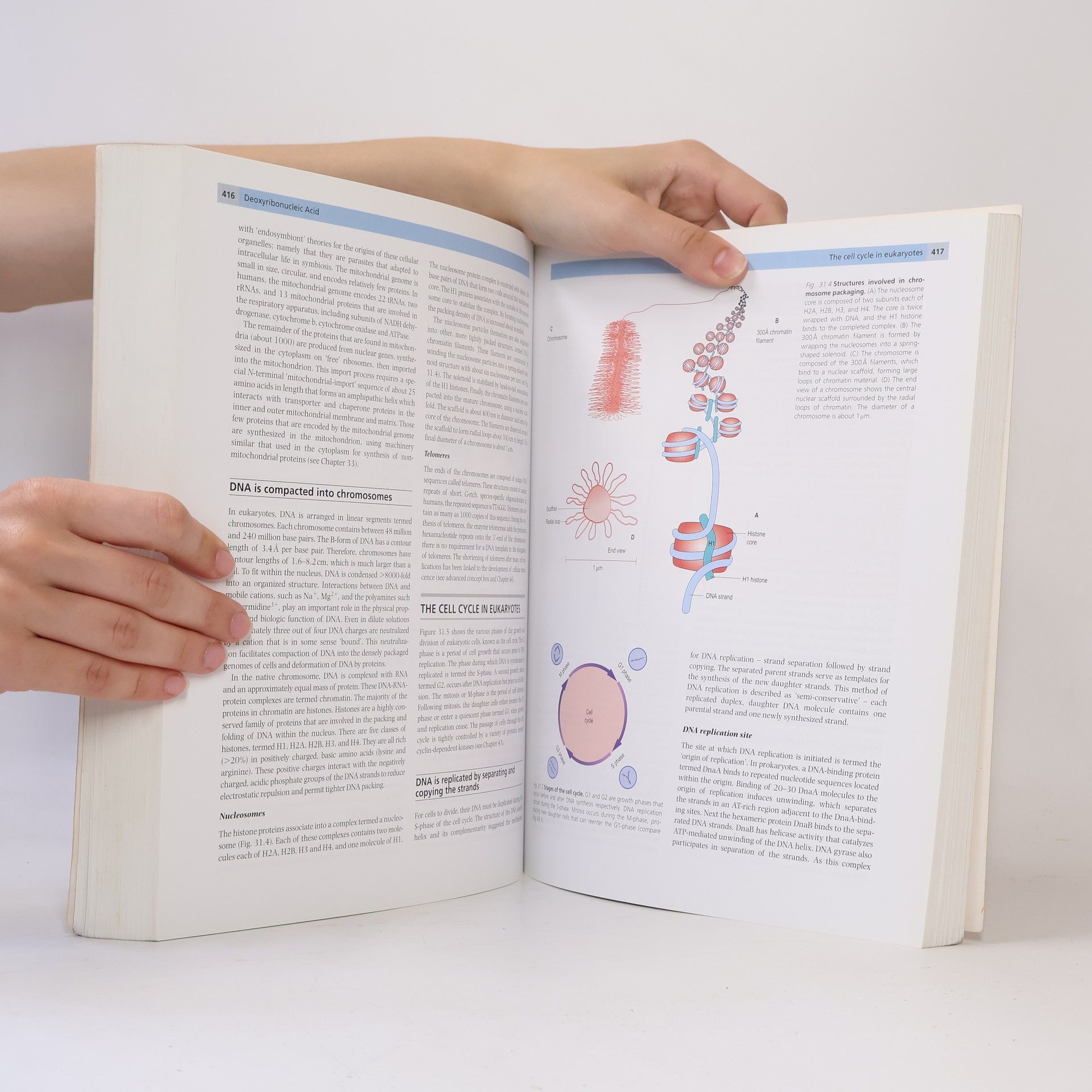 John W. Baynes Medical Biochemistry