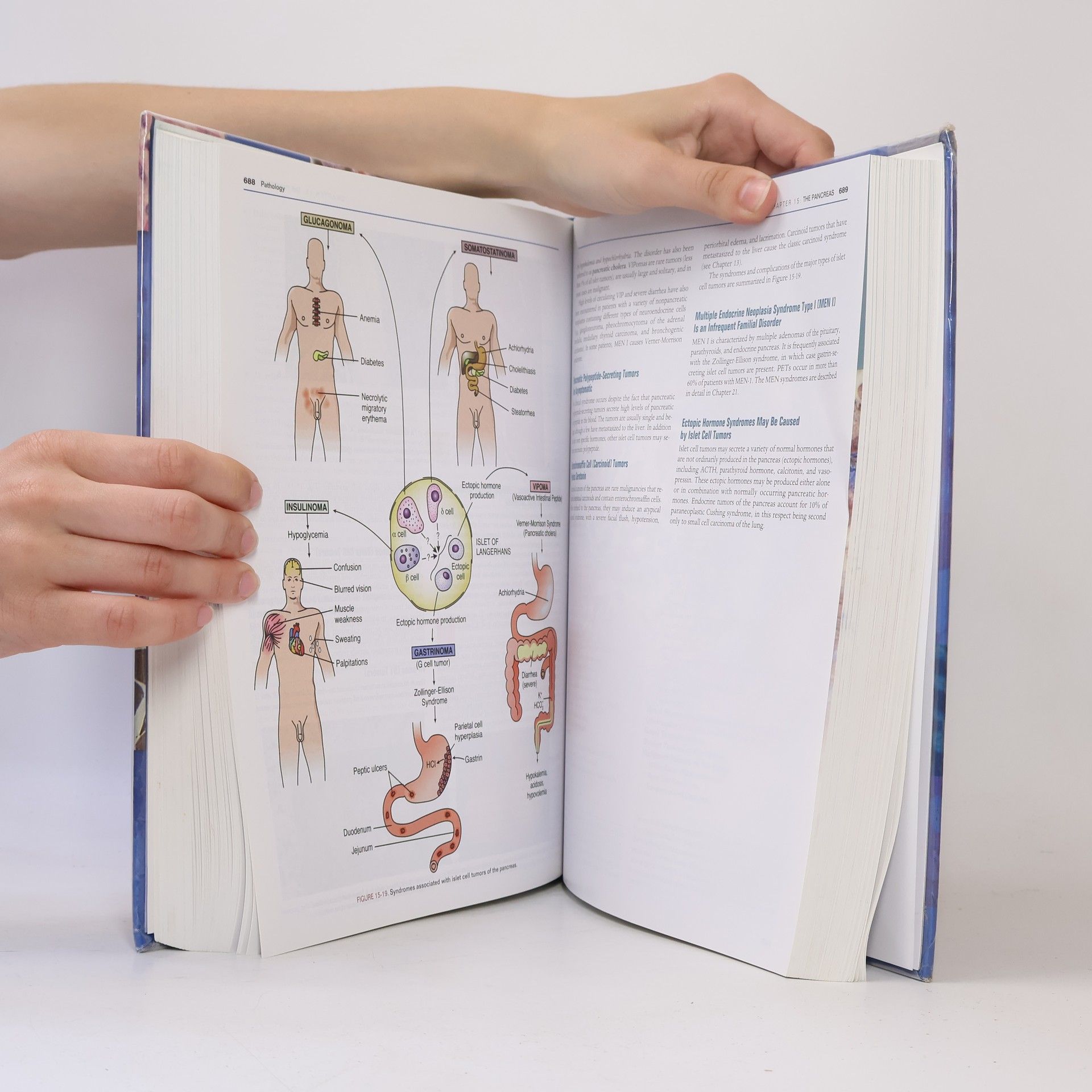 Various authors Rubin's pathology