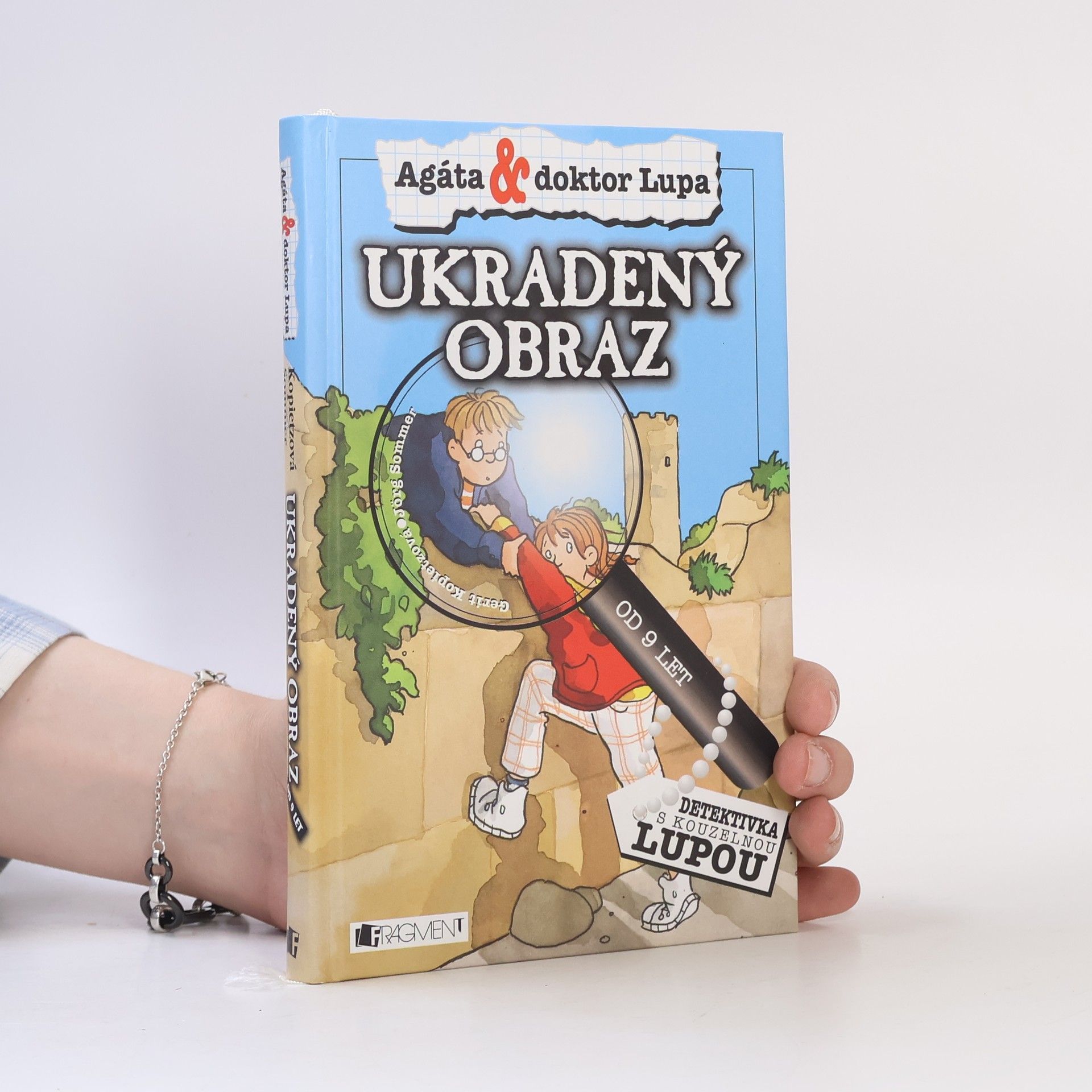 Jörg Sommer Ukradený obraz