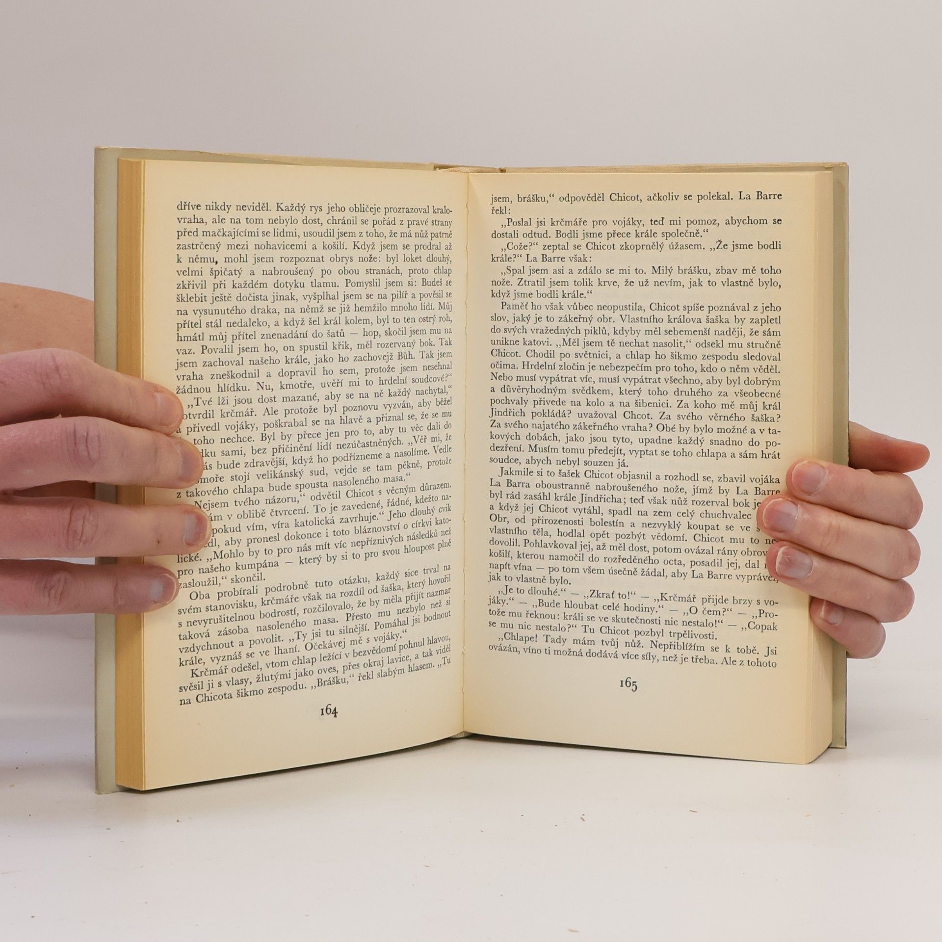 Heinrich Mann Zrání krále Jindřicha IV.
