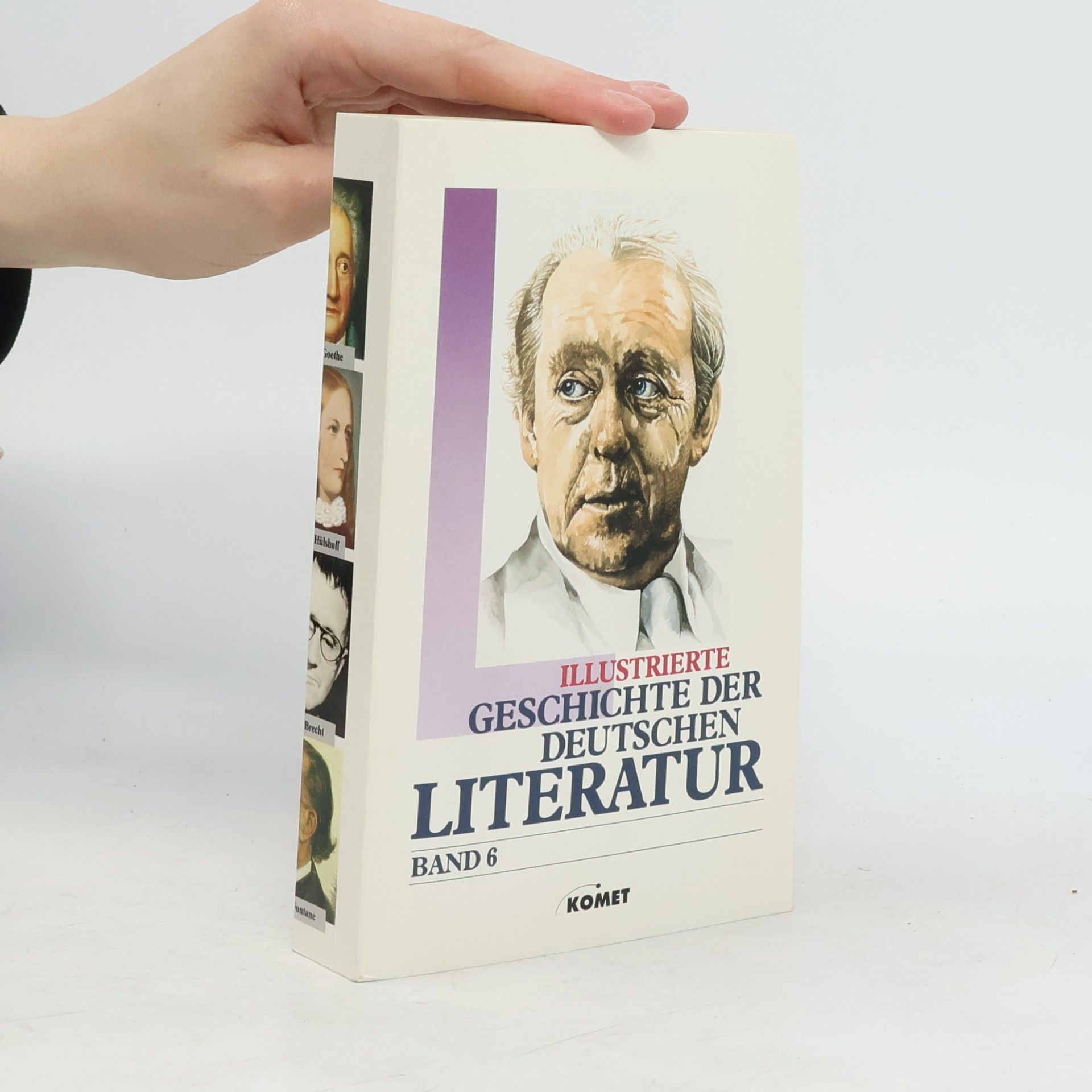 Anselm Salzer Illustrierte Geschichte der deutschen Literatur Band 6