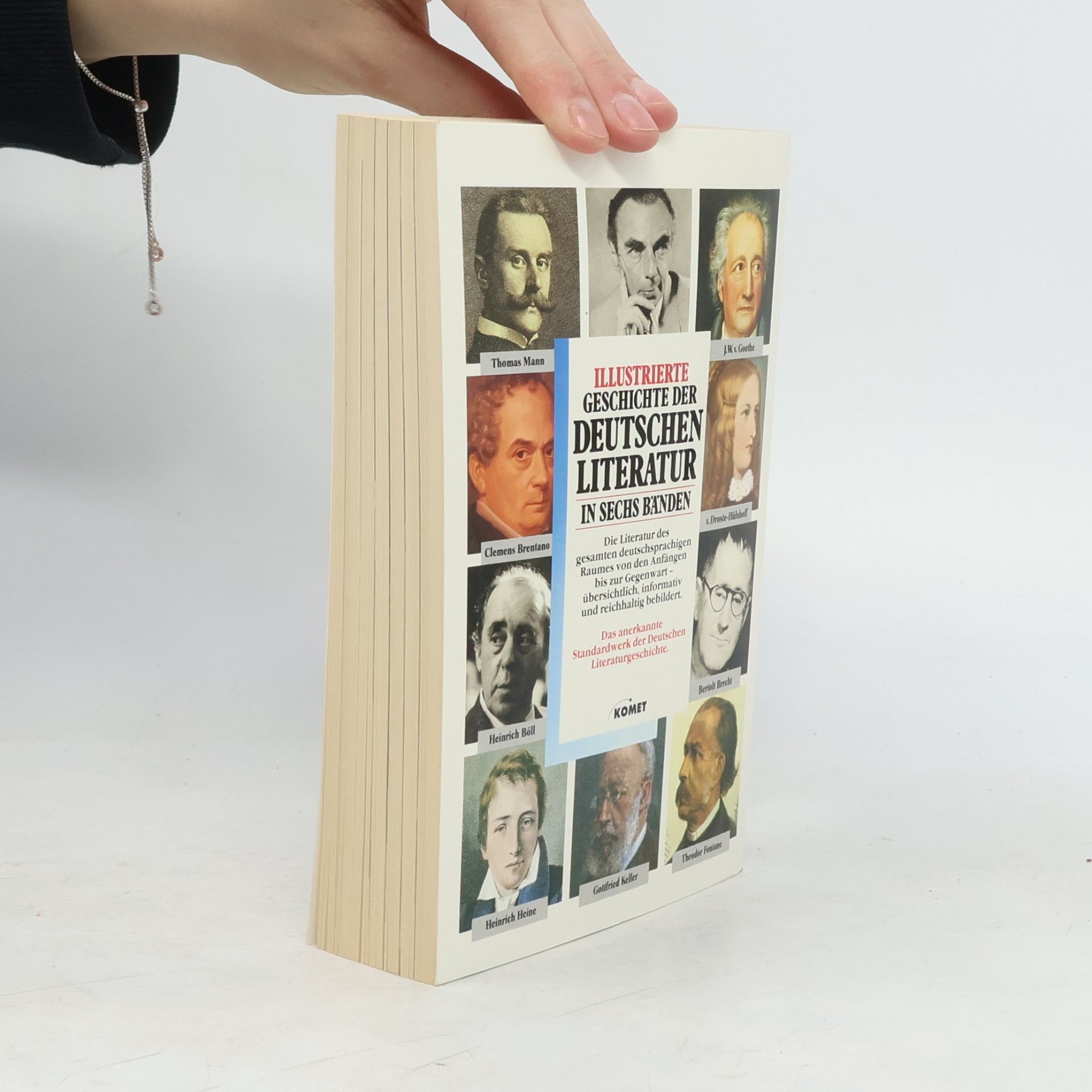 Anselm Salzer Illustrierte Geschichte der deutschen Literatur Band 6