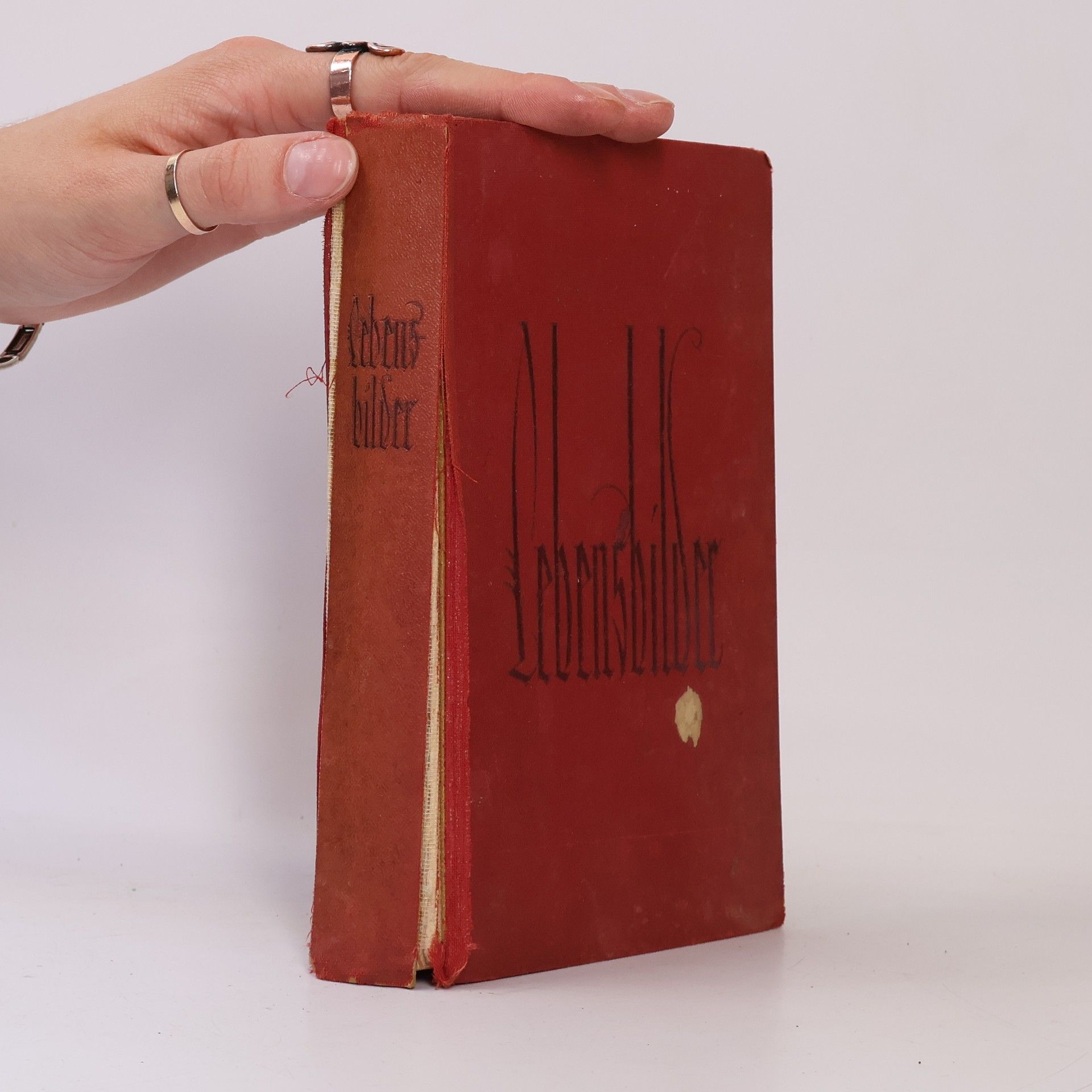 Various authors Lebensbilder